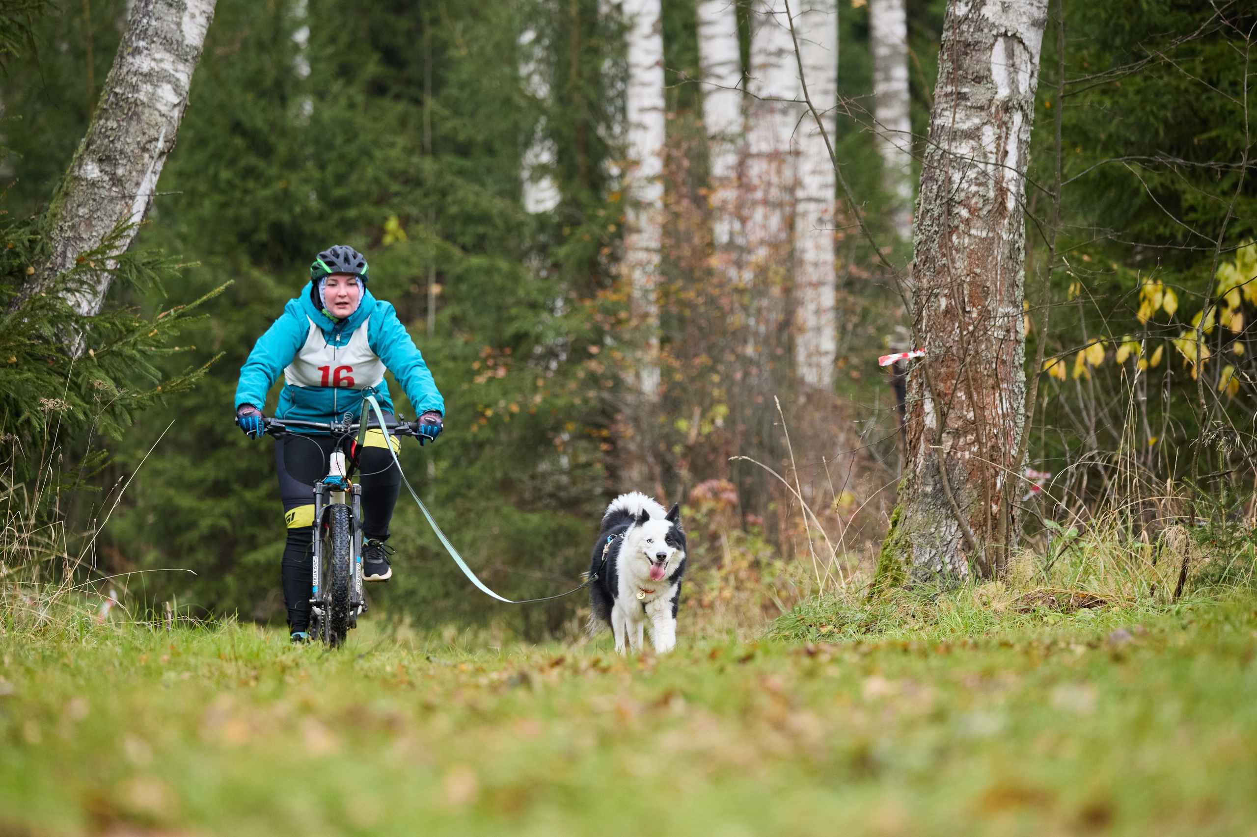 Чемпионат по ЕС Ярославской области. Фотограф Ирина Астор