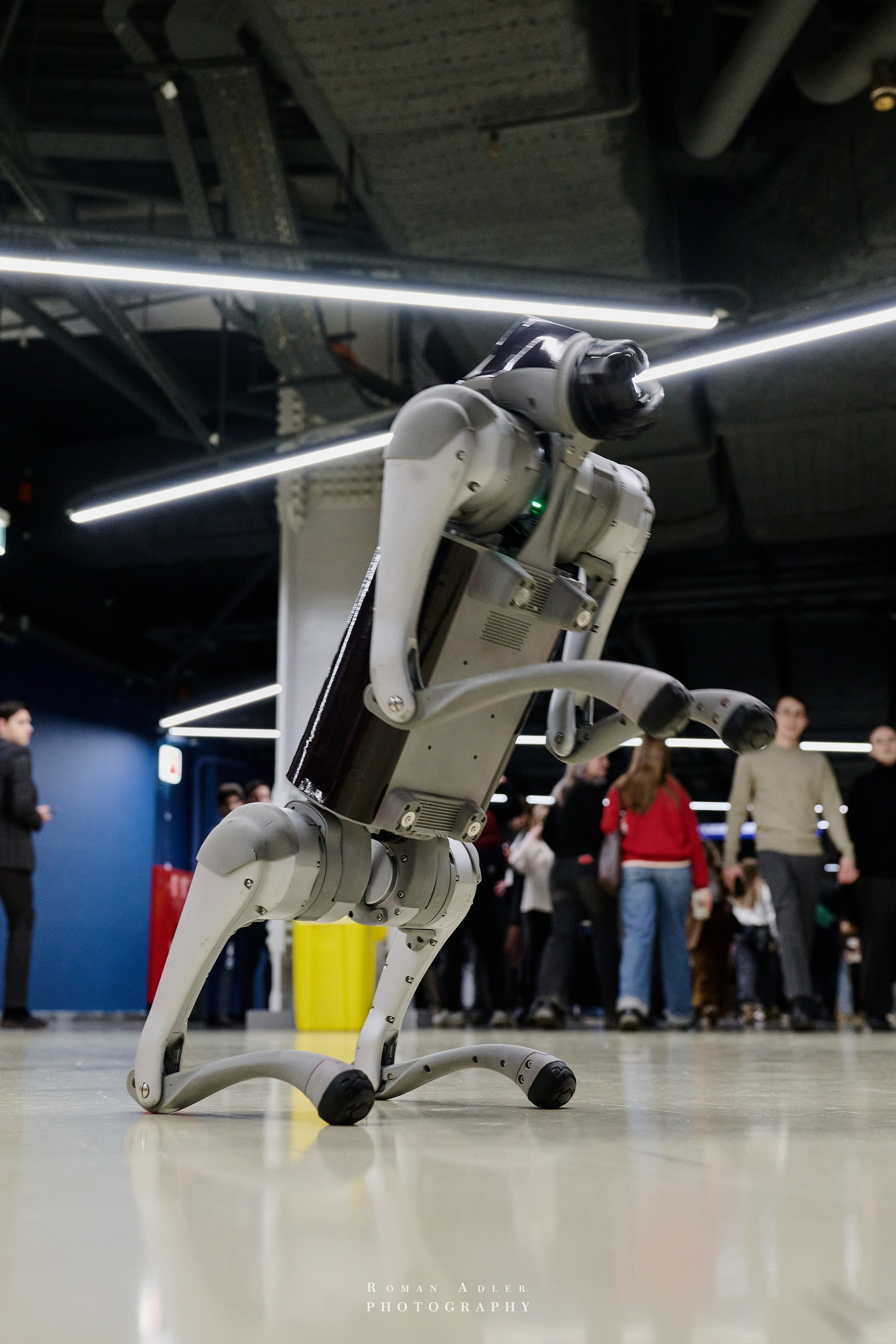 Студфест 2025 Москва. ВТБ Арена. 24 января 2025 года. Фотограф Роман Адлер