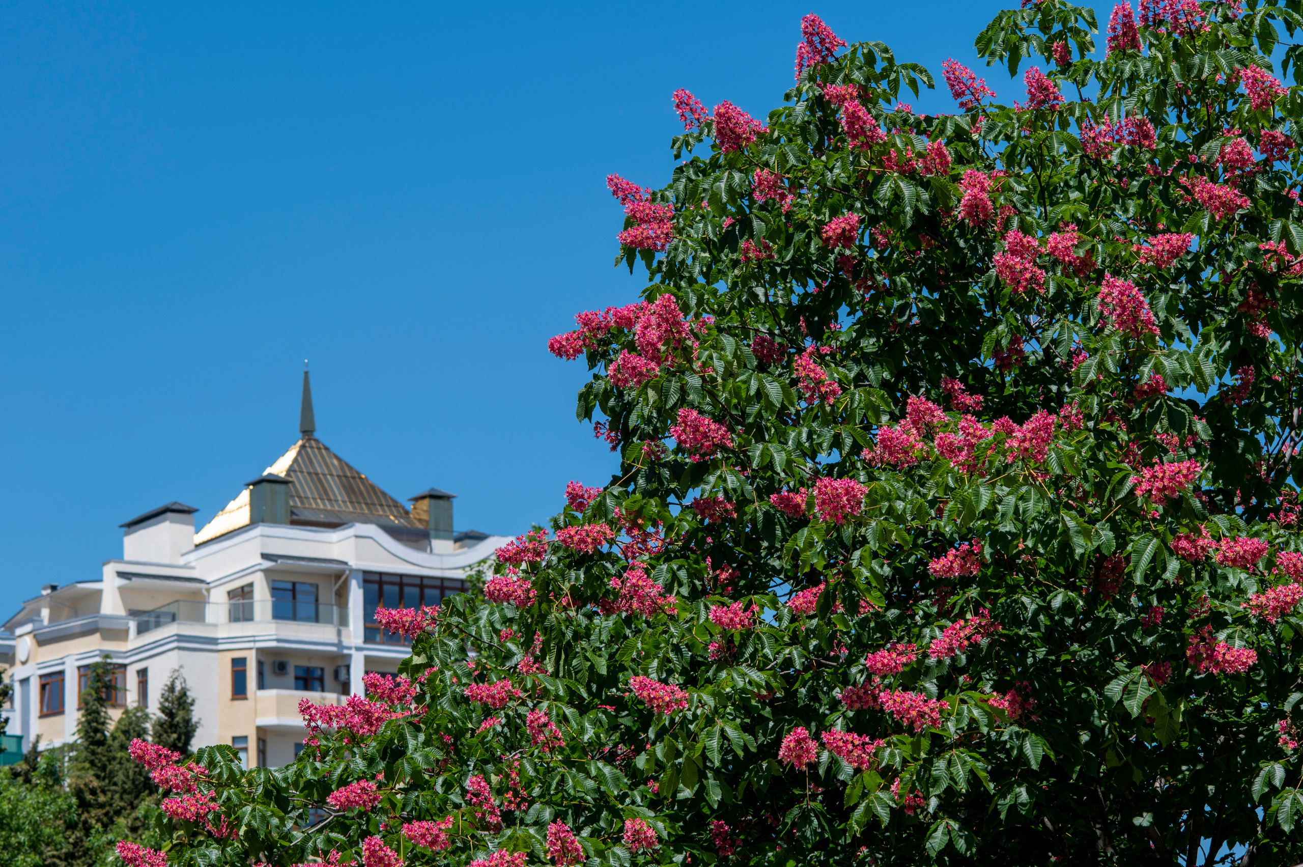 Крым май 2022. Фотограф Роман Адлер