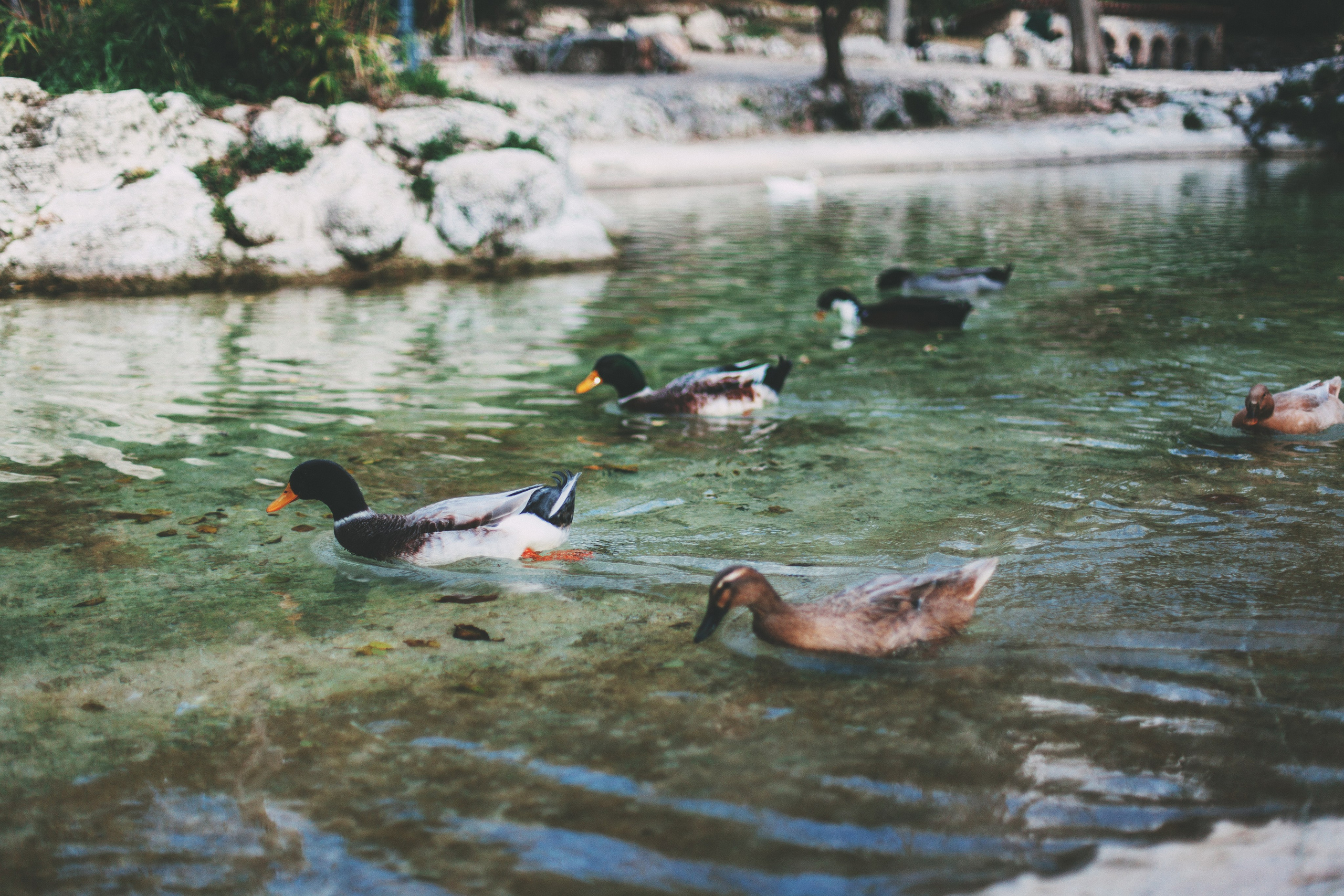 Афины. Аня Степанова