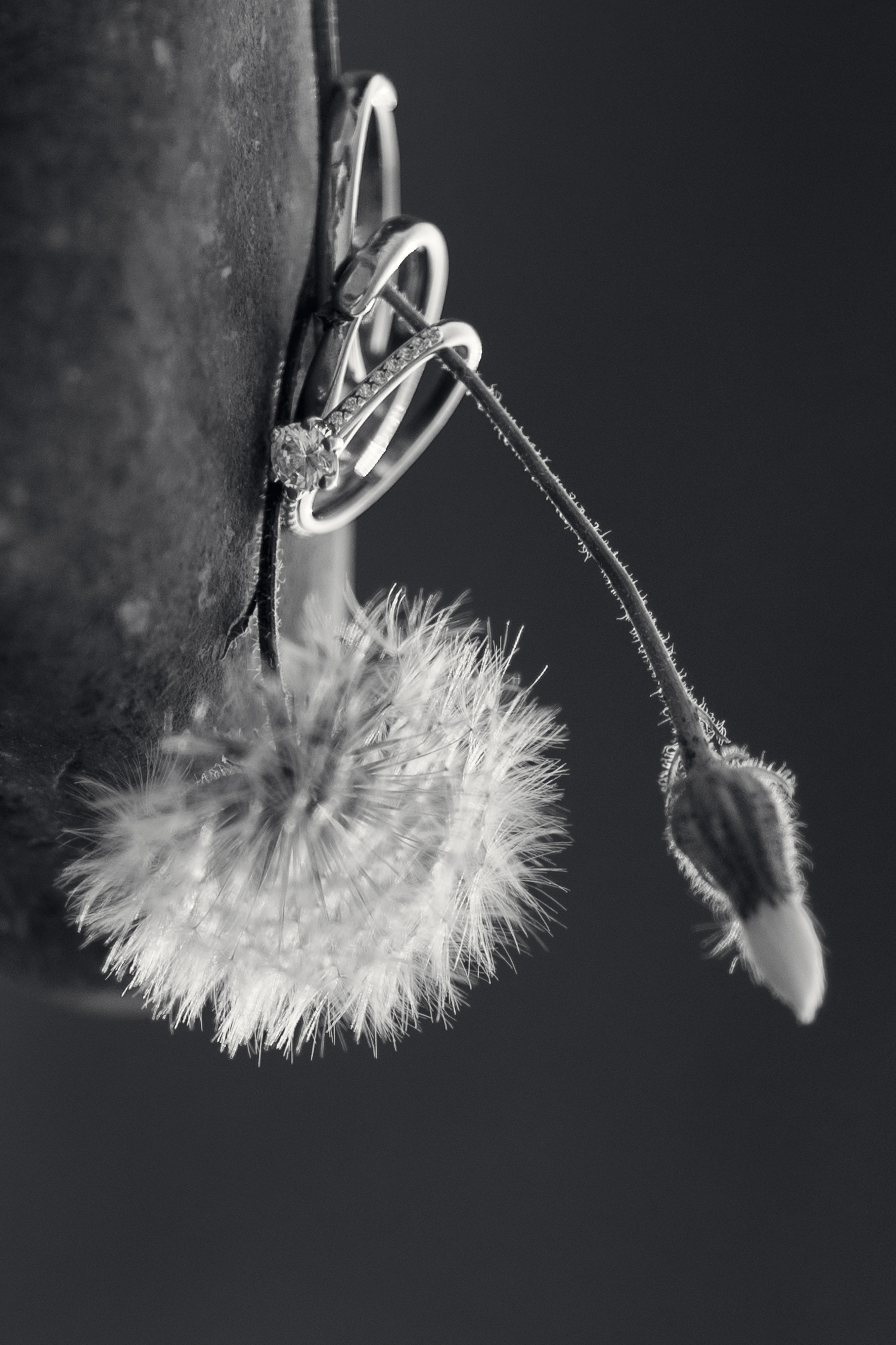 Влада и Константин. Фотограф Айвазова Наталья Краснодар