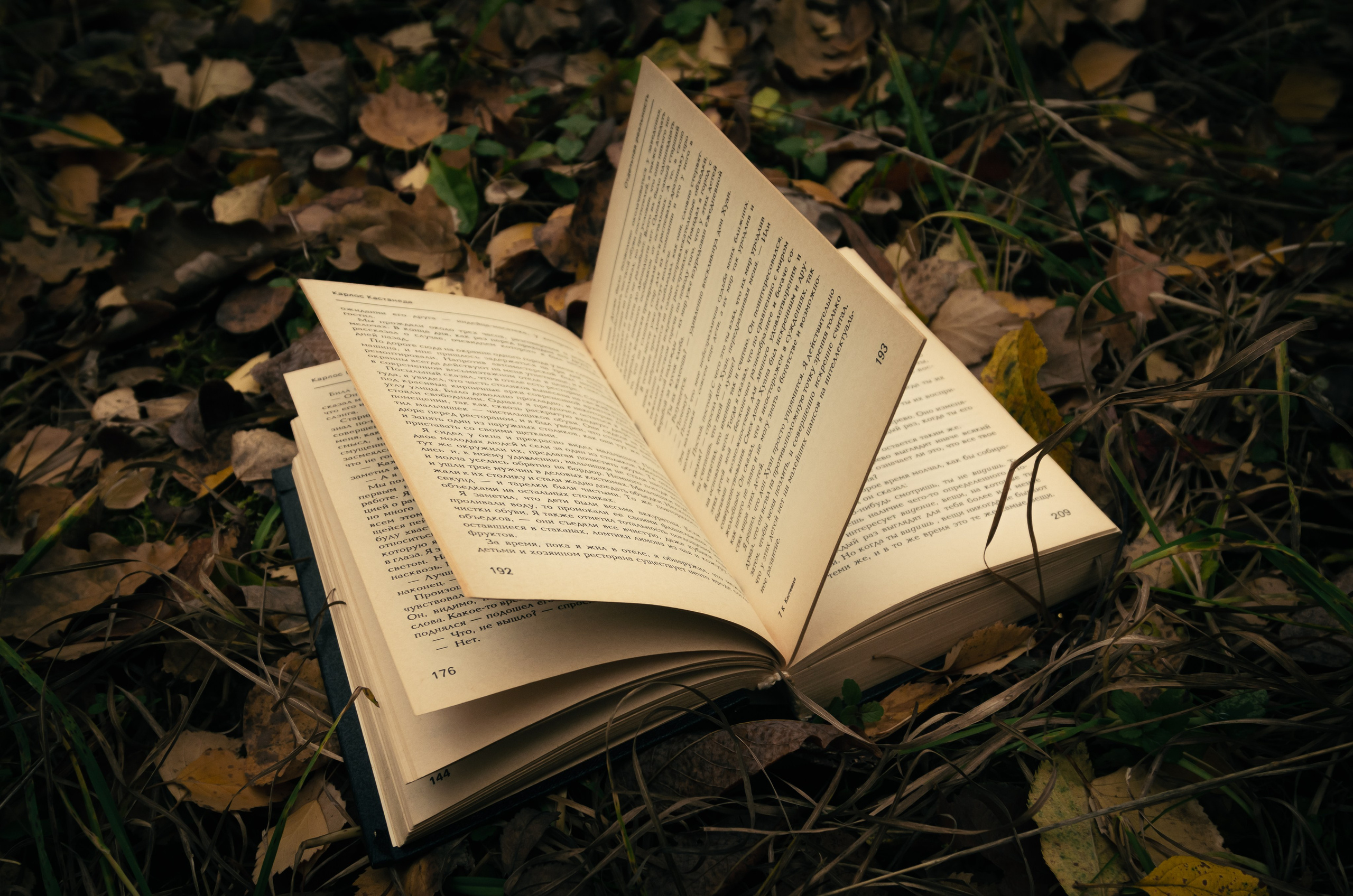 Прогулка ведьмы. Фотосессии по мотивам сказок и фильмов — Катерина Исауленко. СПб