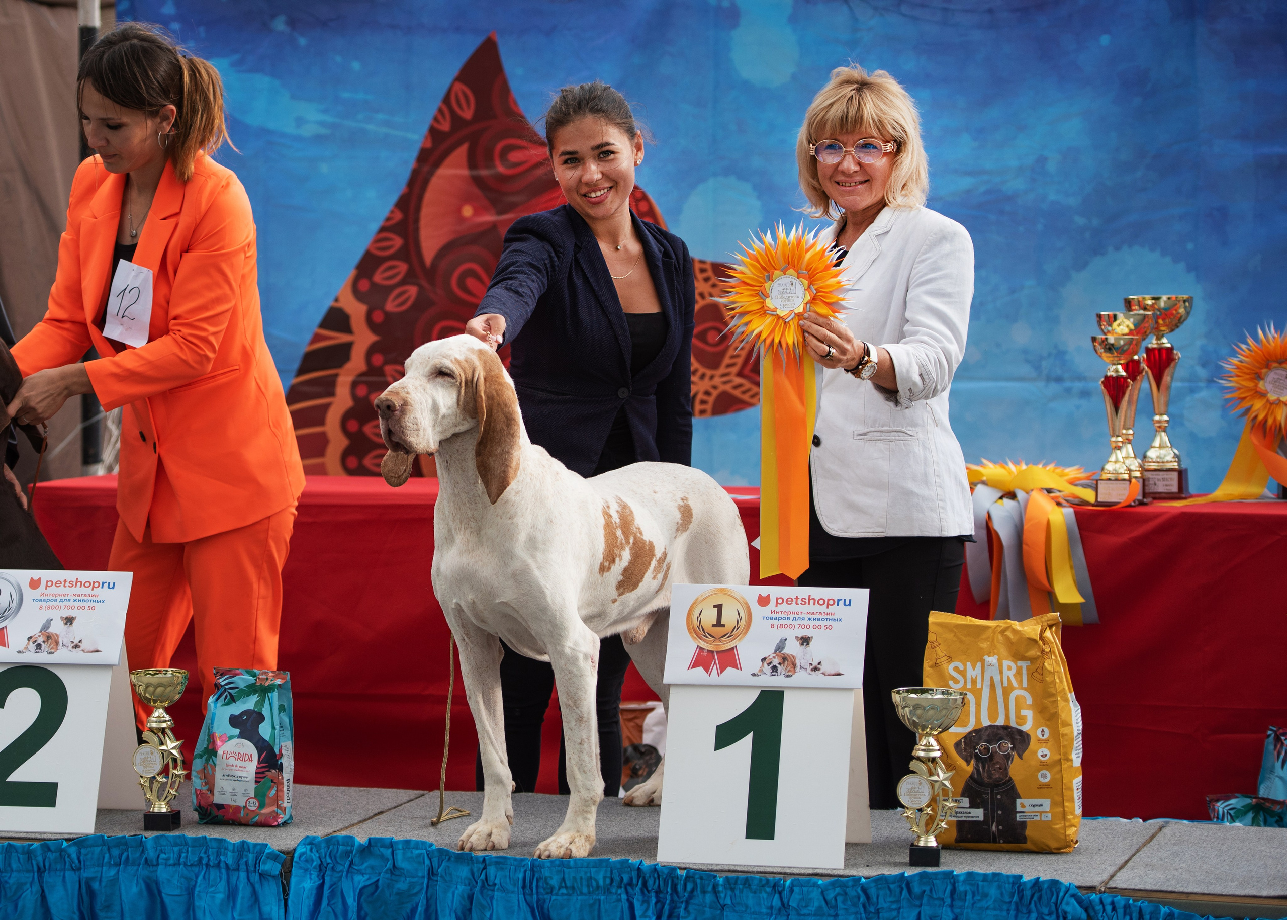 Выставка собак Тюмень 02.09.2023. Дог-фотограф в Тюмени Александра Королева