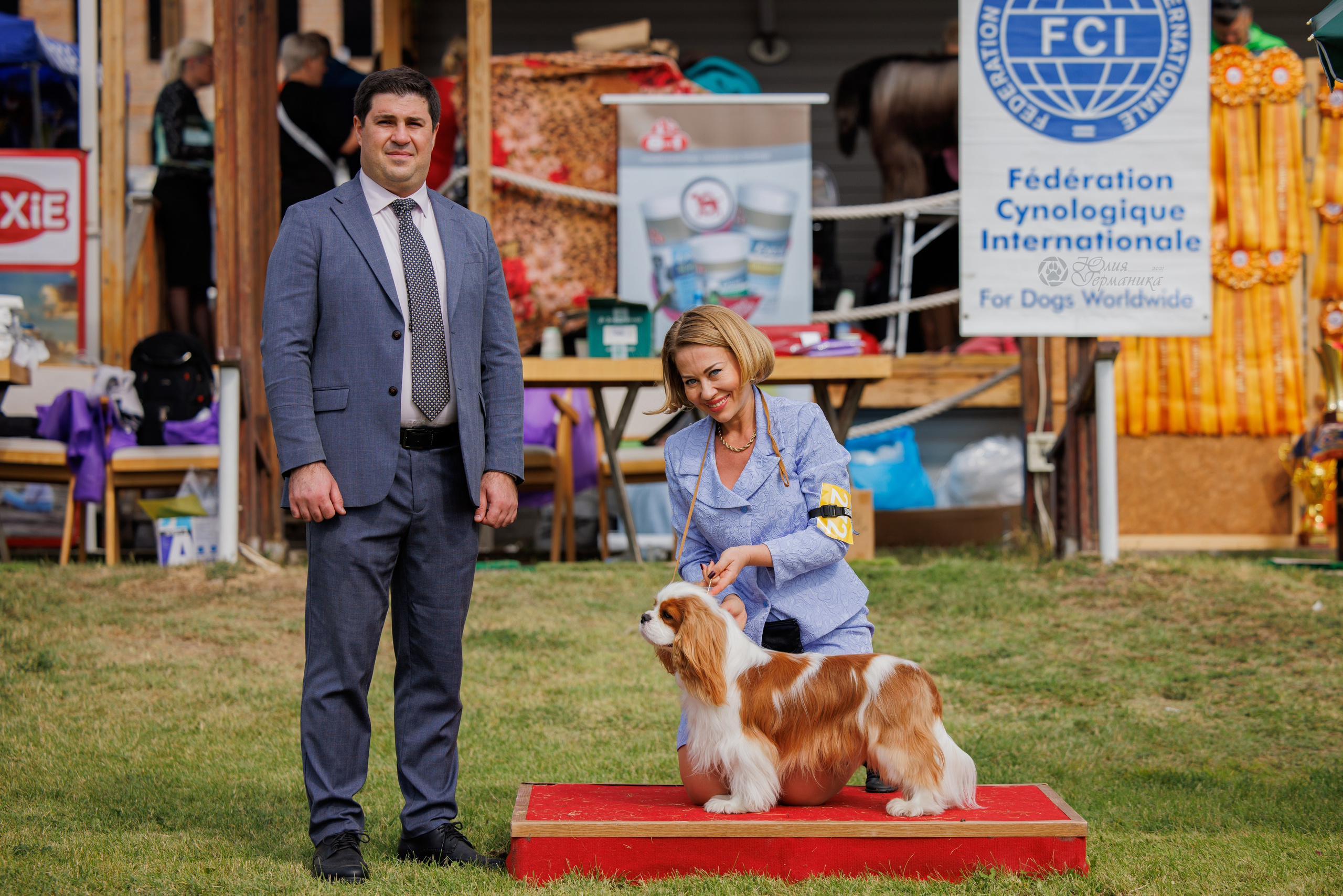 Армения,Ереван 3хCACIB 15-17.10.2024. Фотограф-анималист Юлия Германика