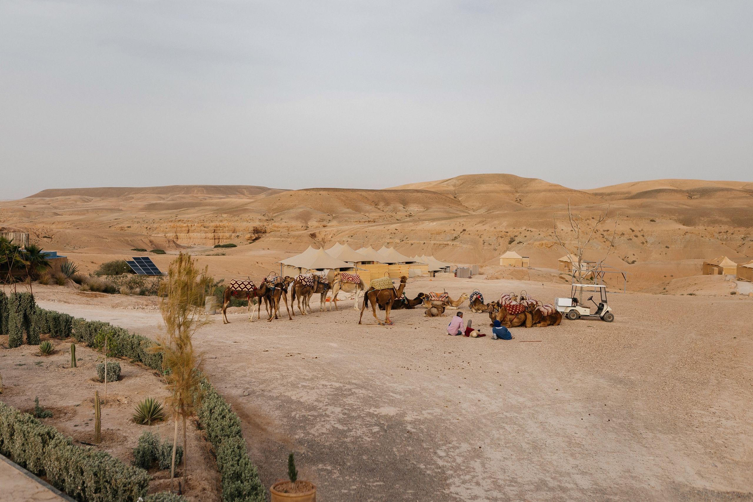 Марокко Альфа Банк. Фотограф в Москве Дмитрий Жарков