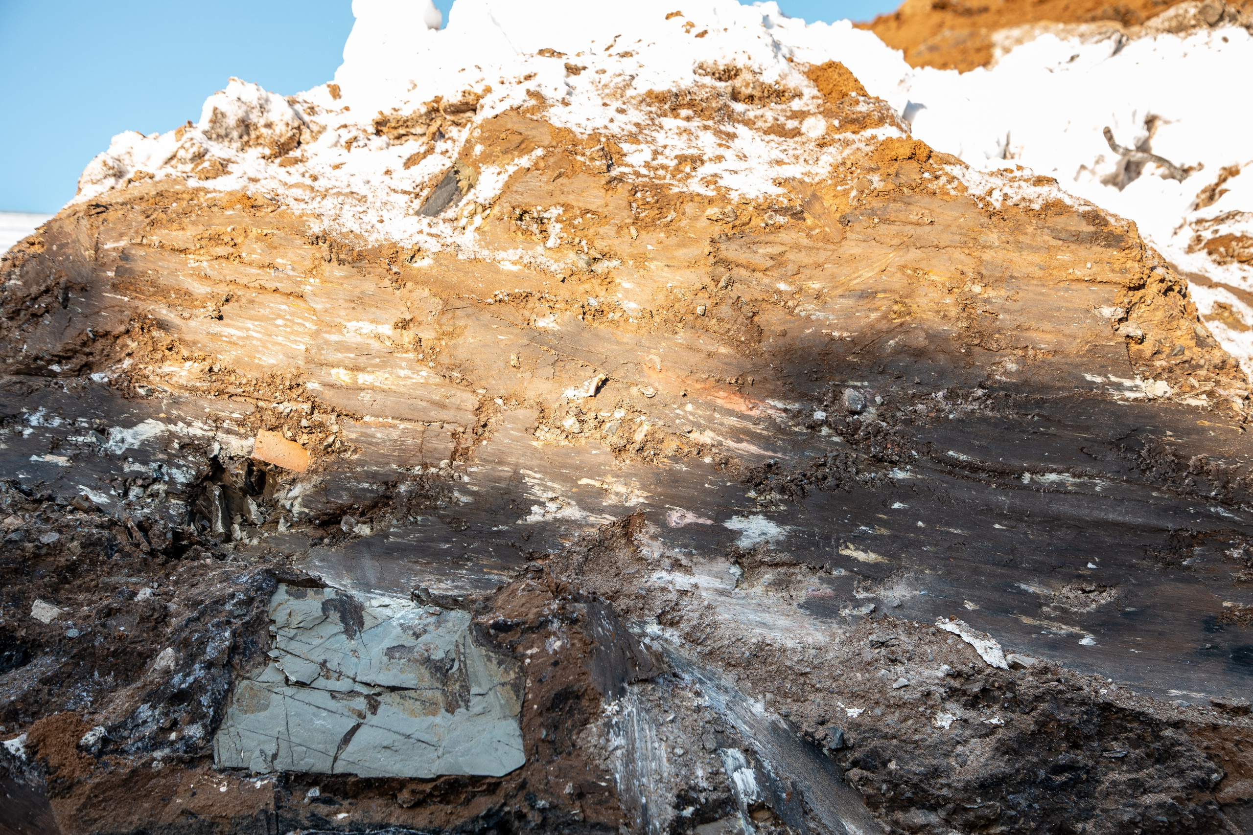 ТОО КазДорБилд. Портретный и репортажный фотограф в Астане Роман Григоров