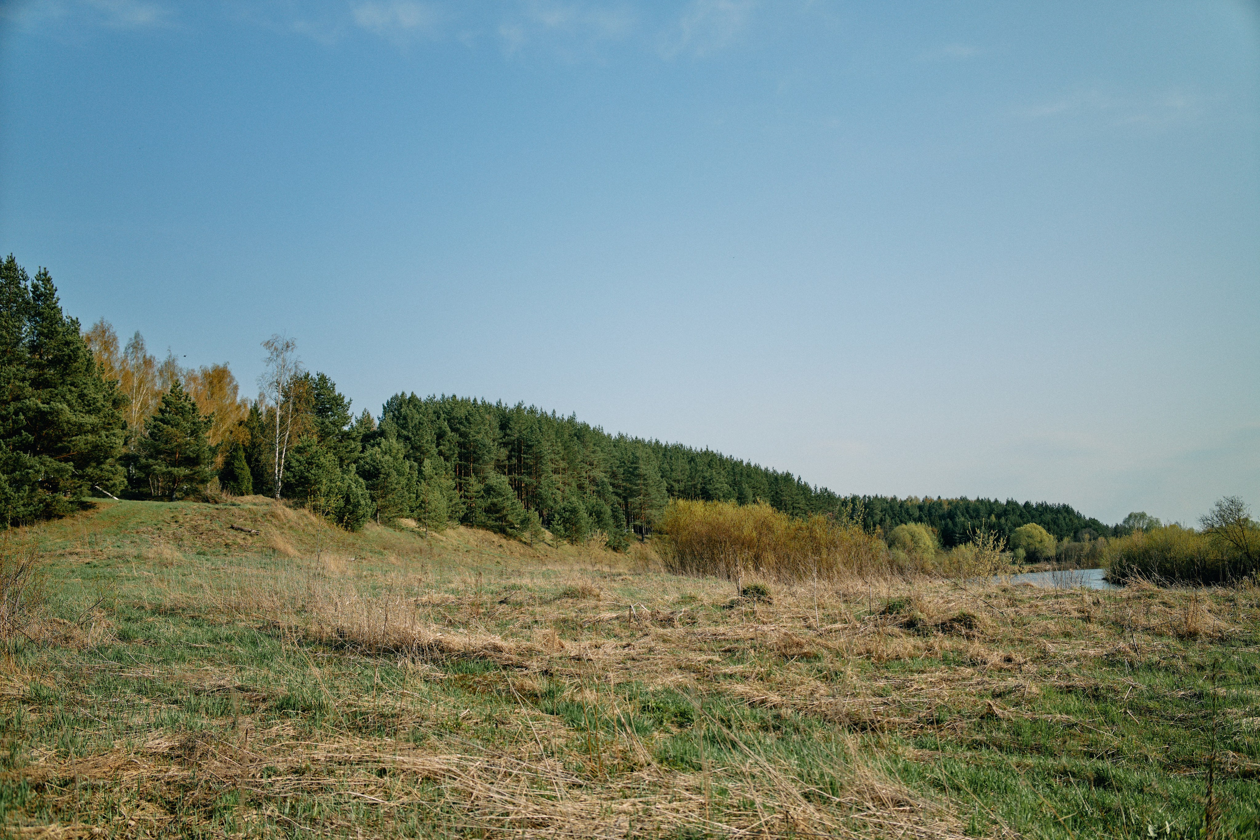 Бутик-отель Поле летом. Профессиональный Фотограф во Владимире, в Москве и в Суздале — Полина Романычева