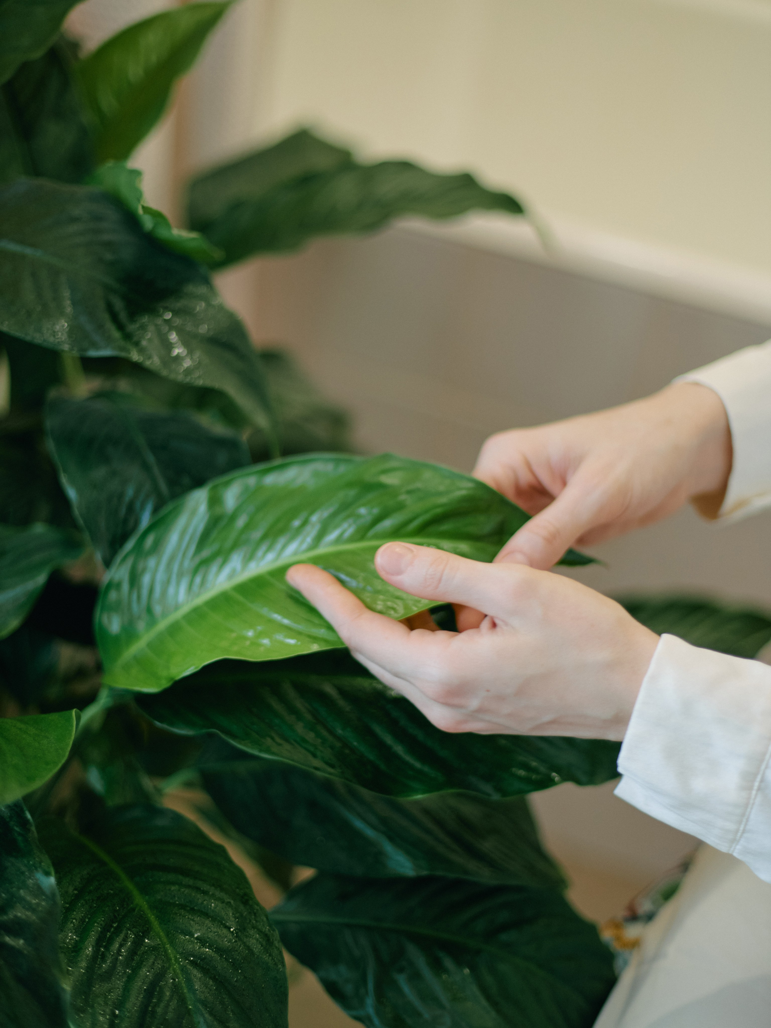 Аленка. Профессиональный Фотограф во Владимире, в Москве и в Суздале — Полина Романычева