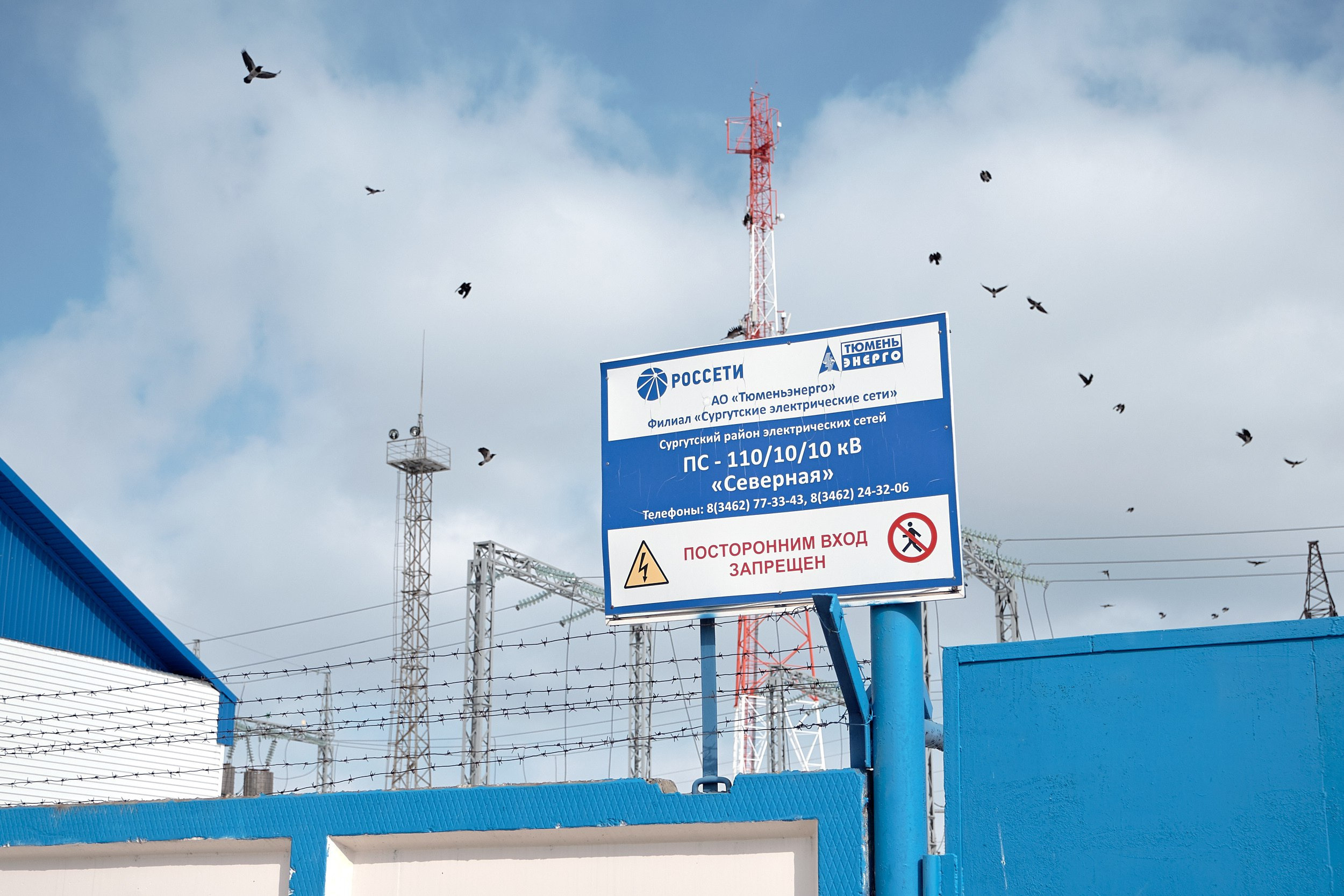 Дмитрий Страхов — репортажный фотограф Сургут. Дмитрий Страхов фотограф в Сургуте