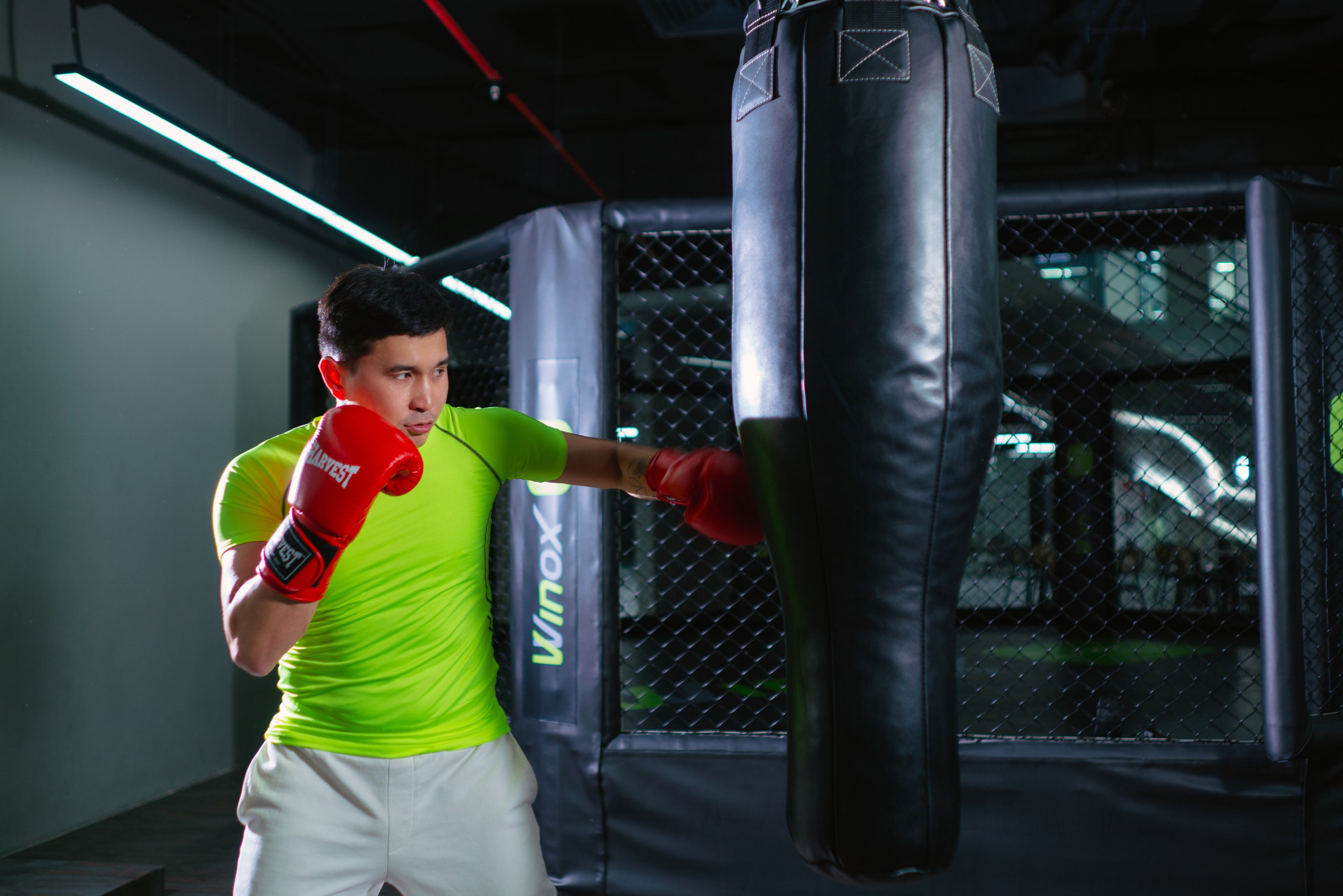 WinoxPro. Профессиональная съемка в Алматы