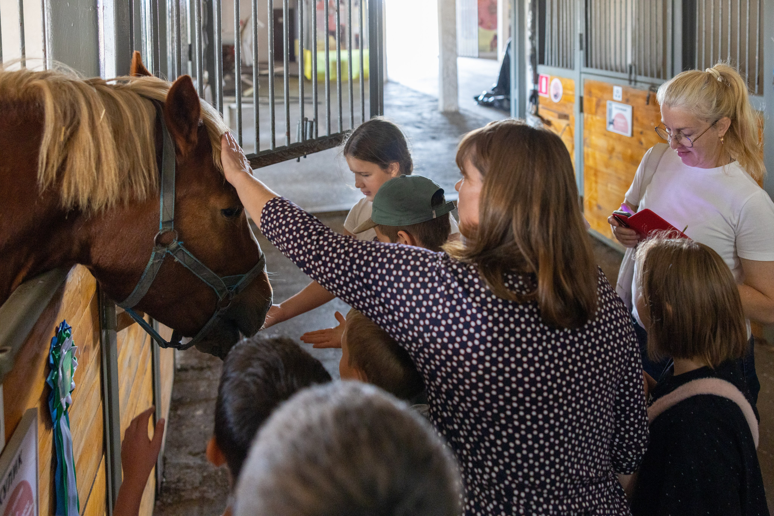 Поездка на поле Кулеково. Фотограф в Туле Крупский АнДРей. Фотостудия «КАДР71» в Туле