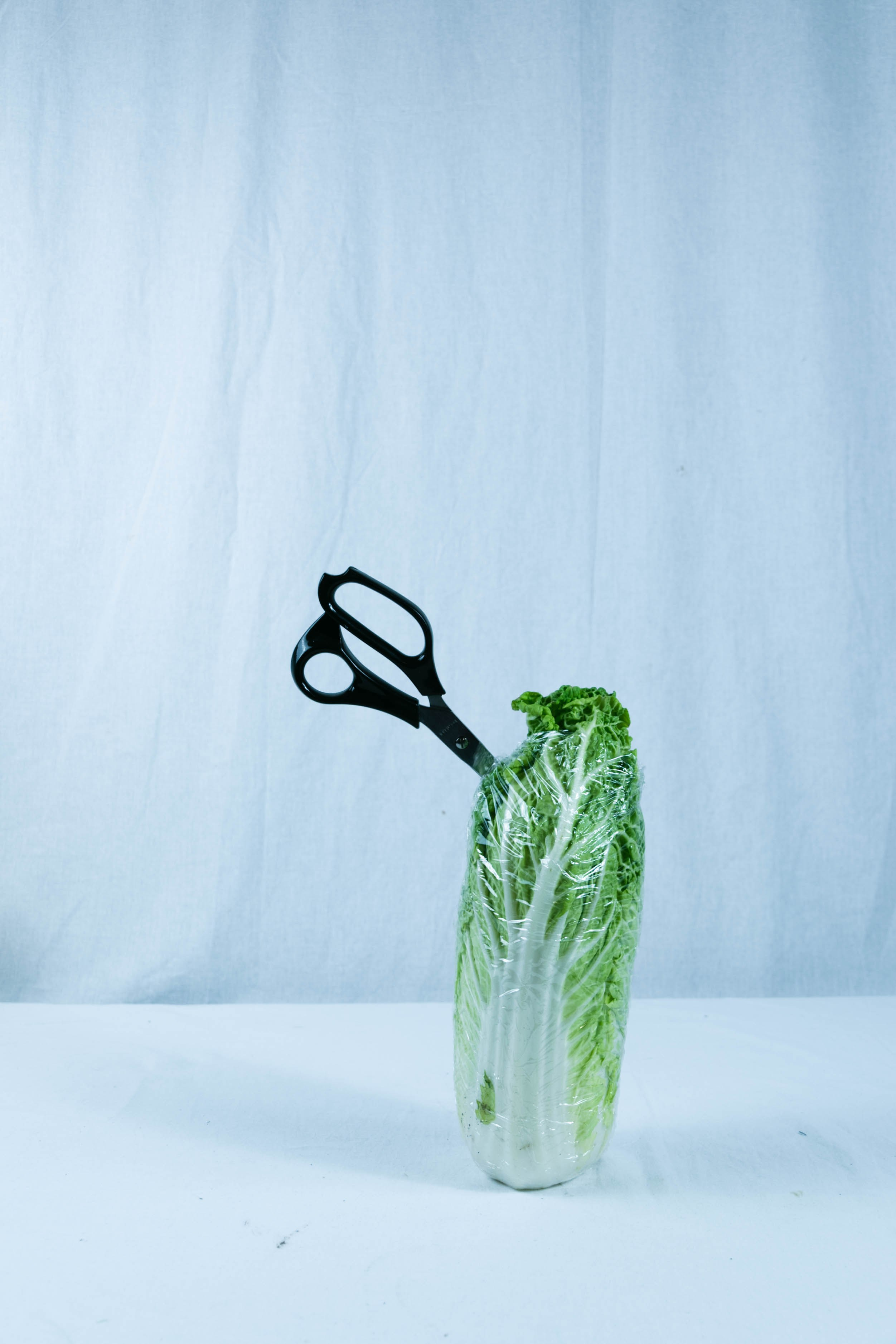 Соль. DASHA KALNINA