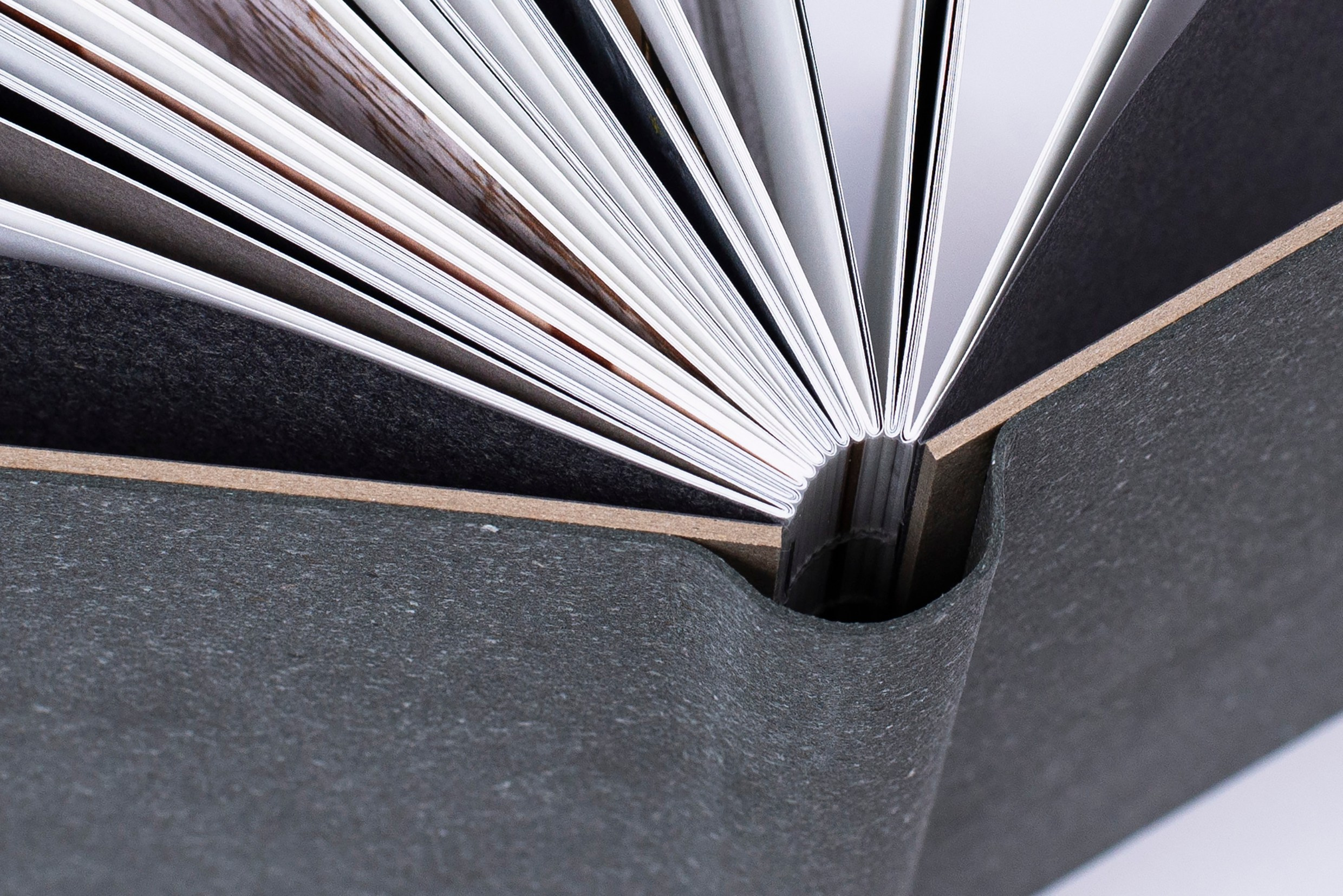 Книга. Фотограф в Москве Алейникова Евгения