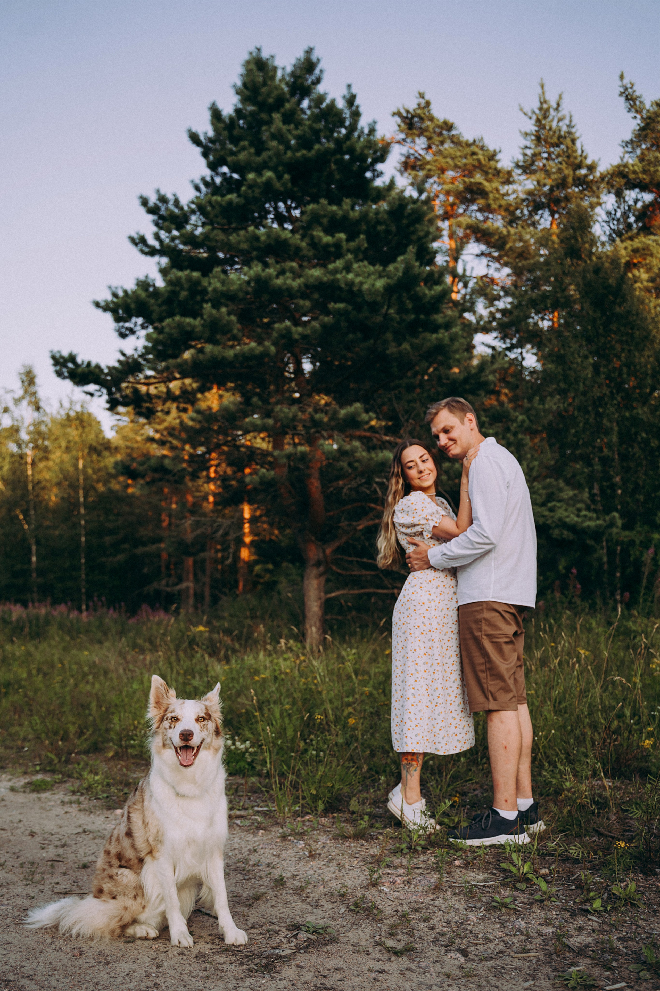 Хвостики. Главная