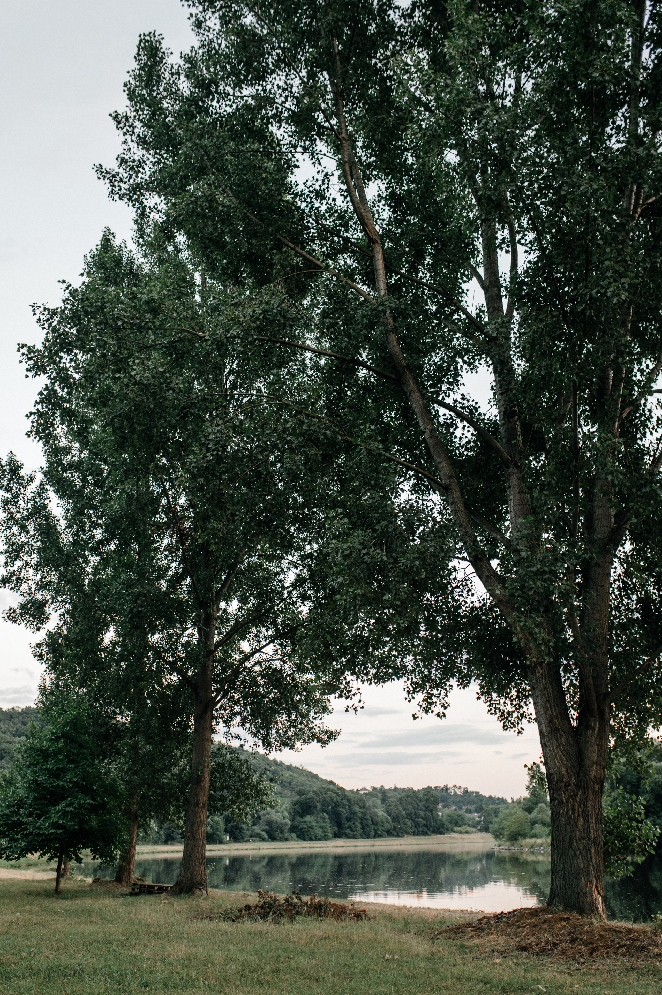 Юля+Влад. Костюшко Кристина — семейный и свадебный фотограф в Минске