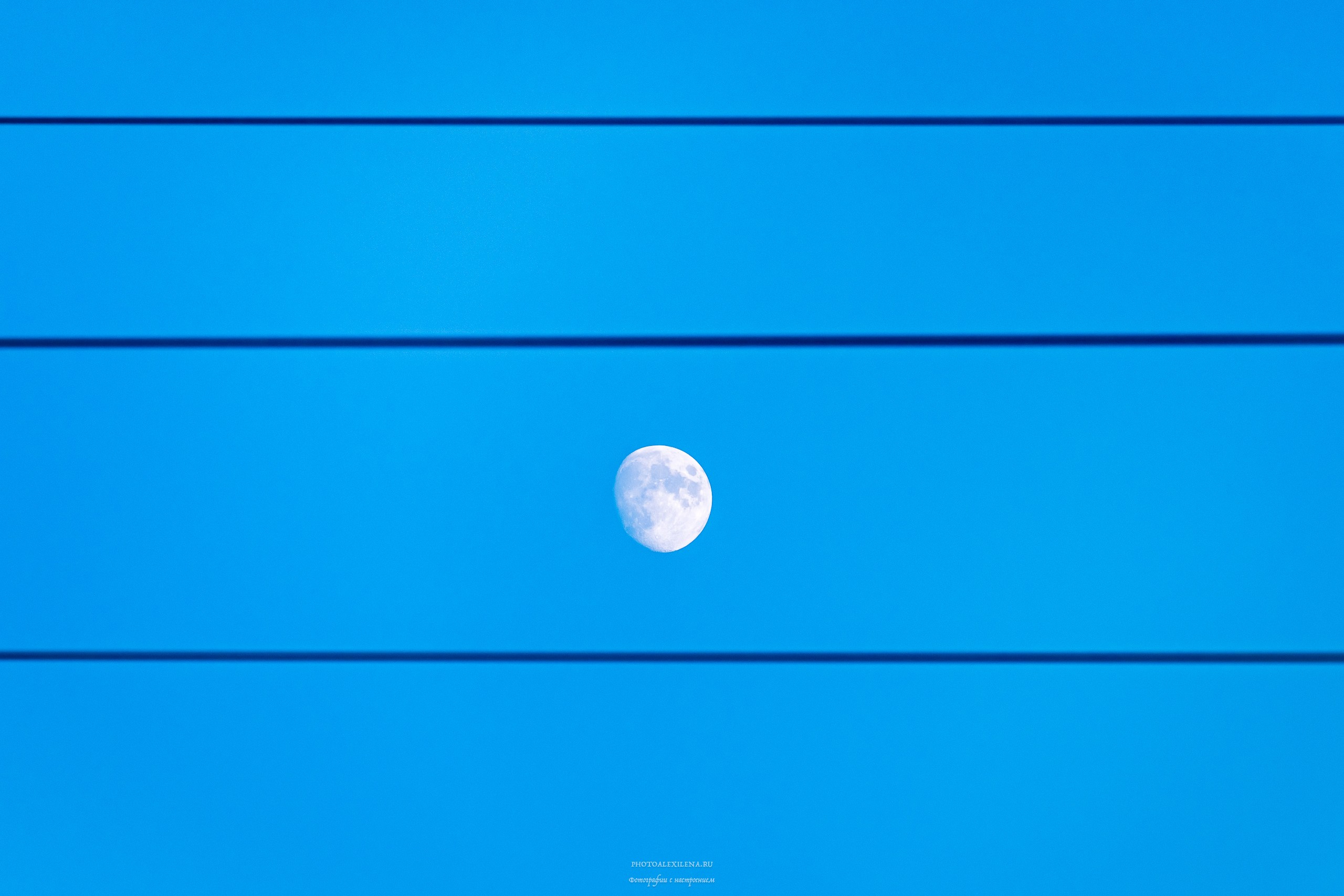 Минимализм. Авторские стильные фотокартины