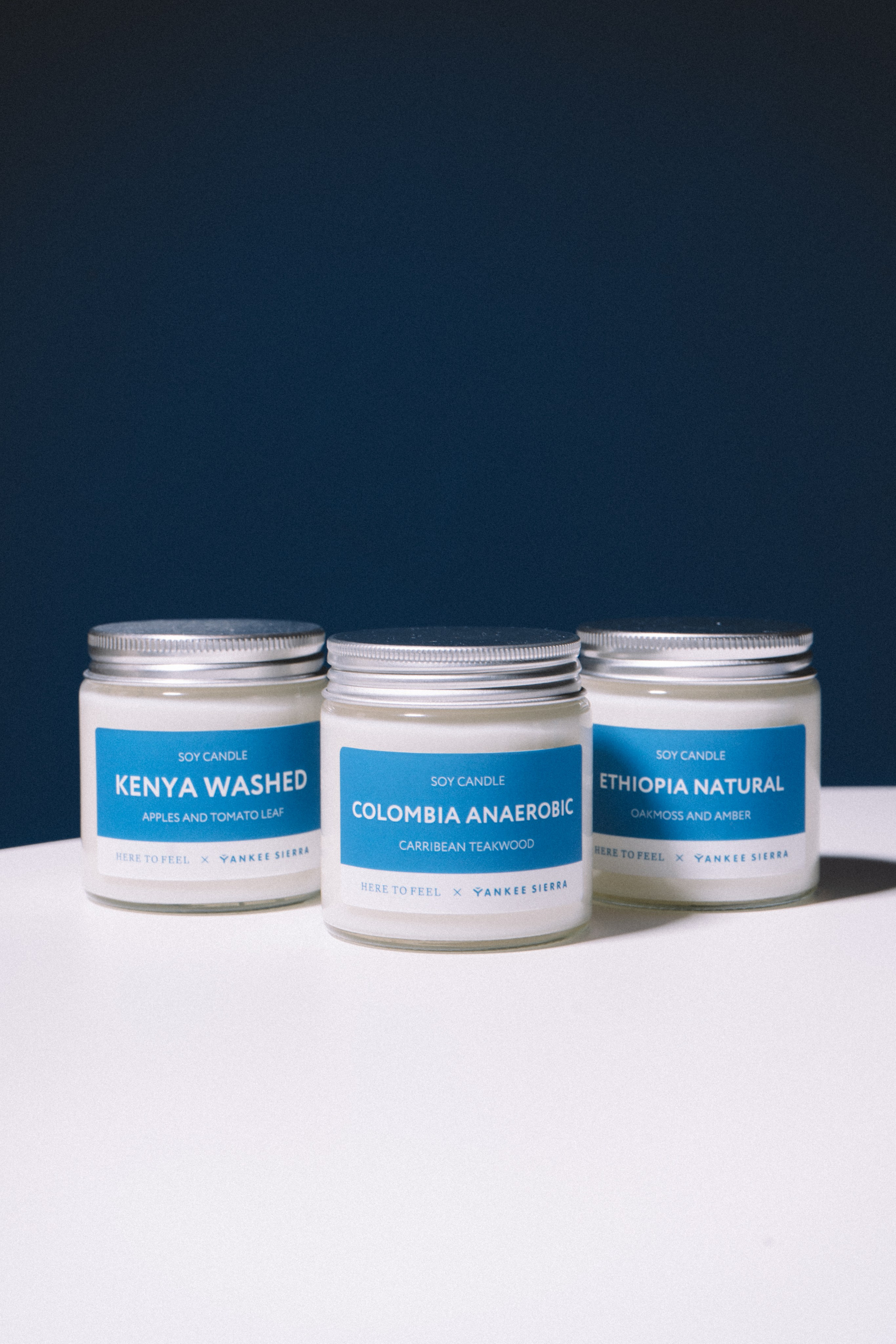 Yankee sierra. Анастасия Попова — Fashion photographer