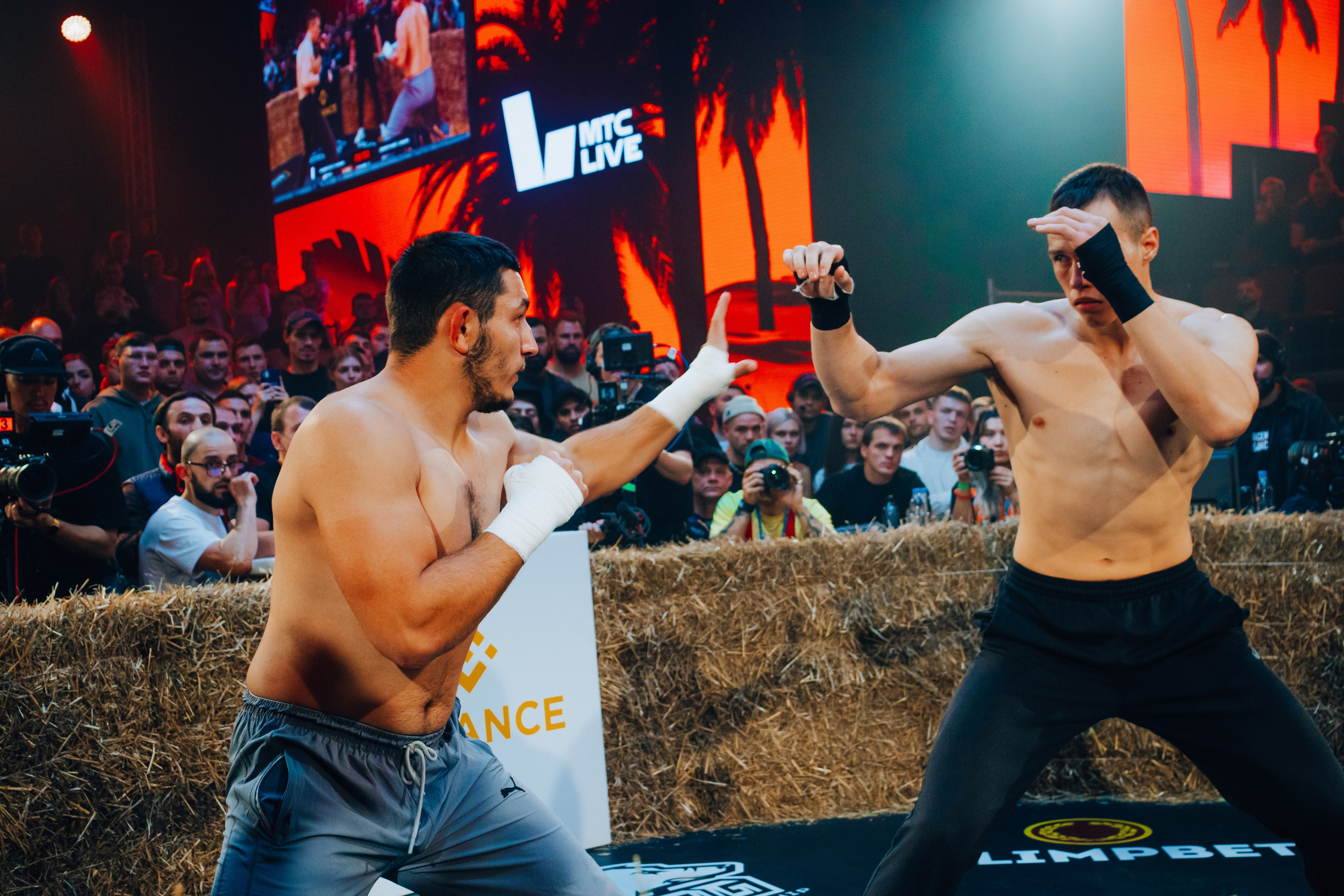 Кулачные бои TopDog. Анастасия Тен