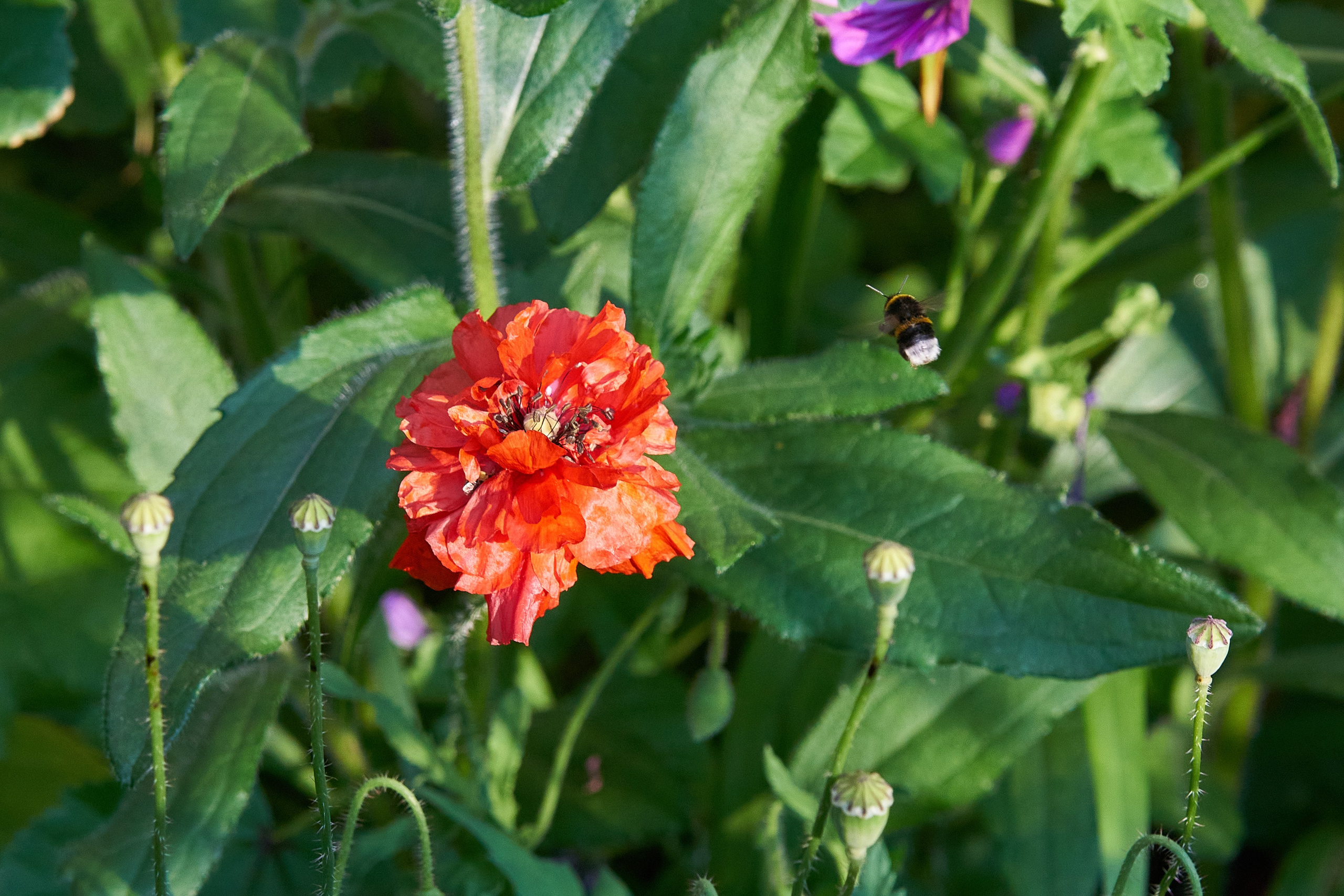 Наша мать — природа. Фотограф Владимир Артамонов