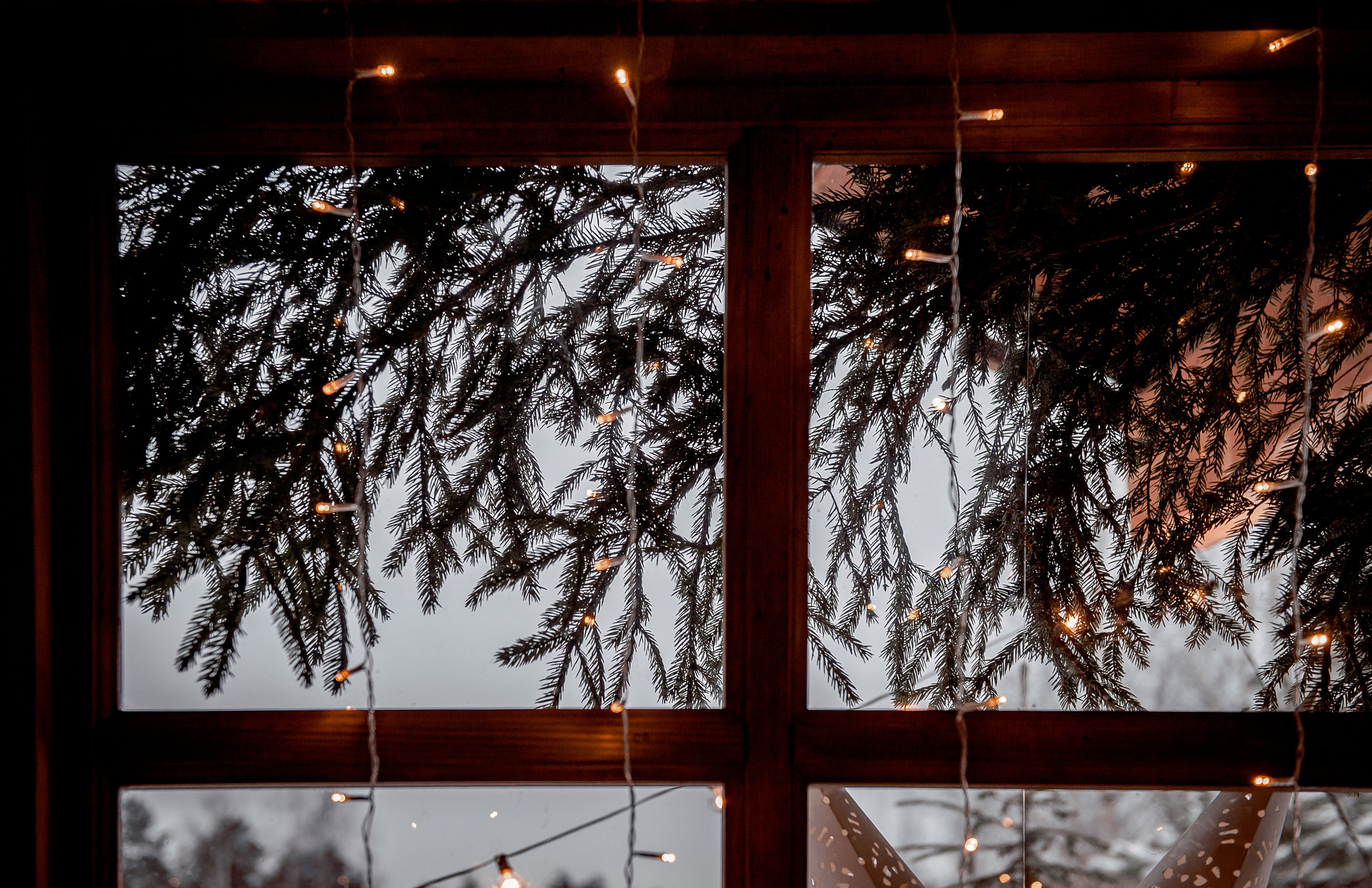 Ольга, Московская область, Ногинский район, Шале в лесу. Свадебный и семейный фотограф Виктория Носачёва. Щелково, Москва и МО