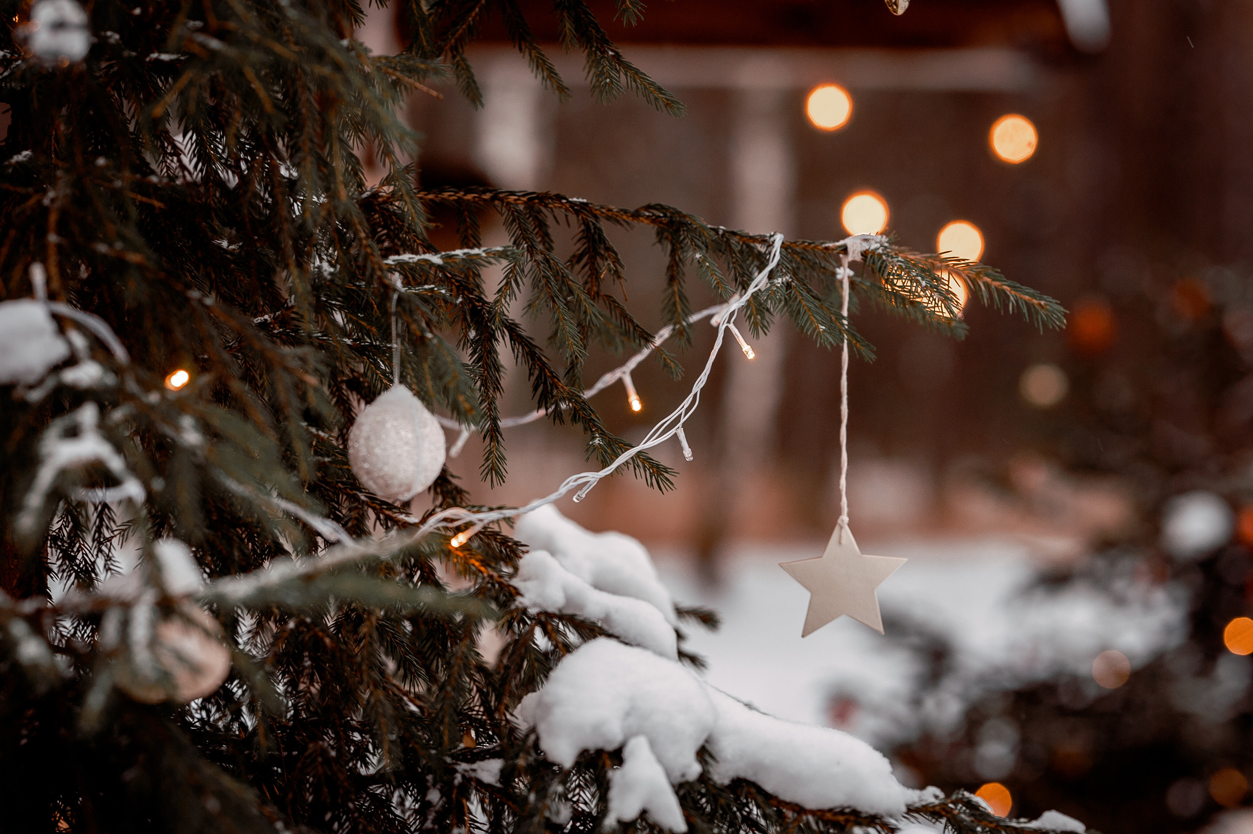 Ольга, Московская область, Ногинский район, Шале в лесу. Свадебный и семейный фотограф Виктория Носачёва. Щелково, Москва и МО