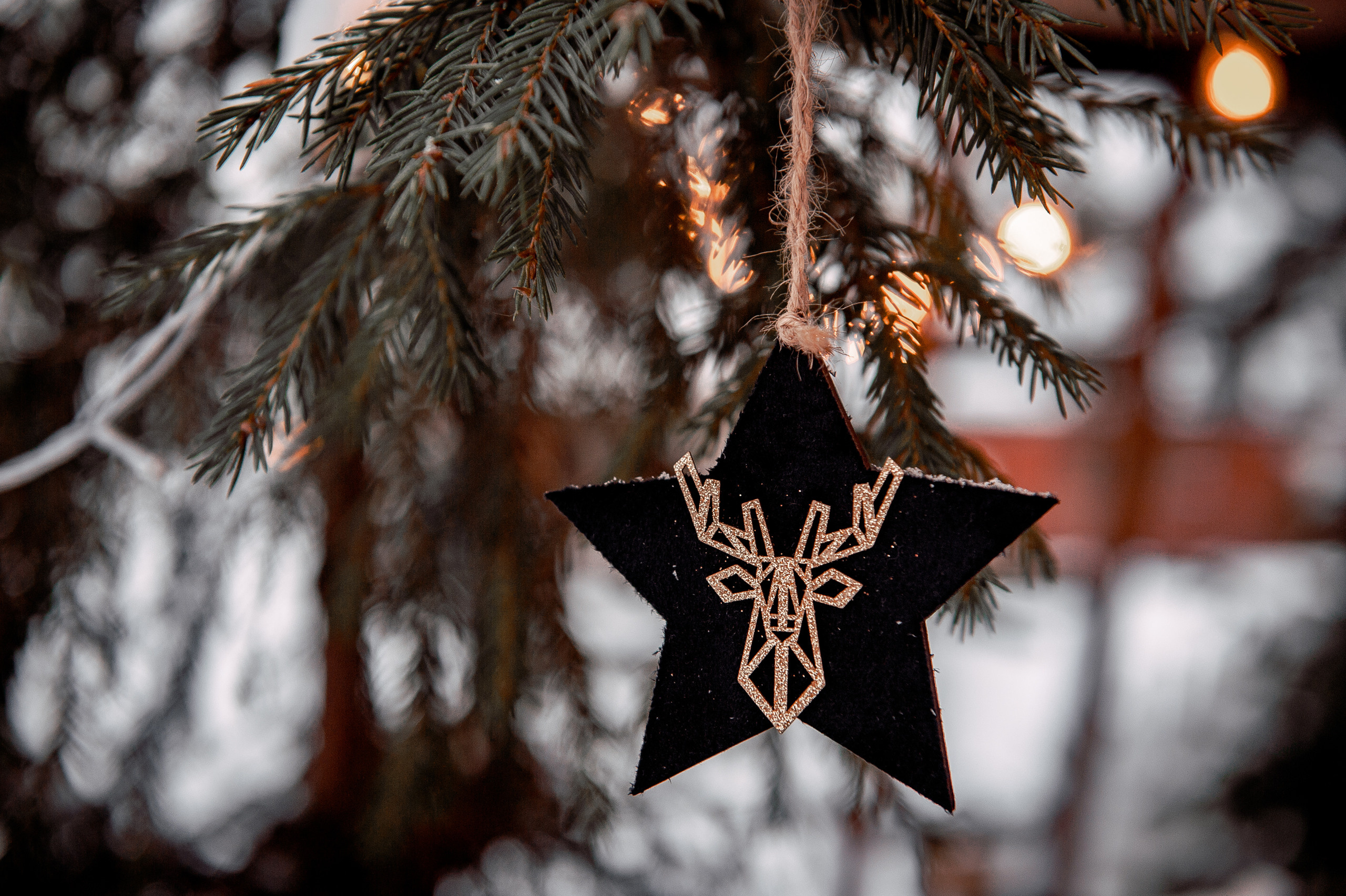 Ольга, Московская область, Ногинский район, Шале в лесу. Свадебный и семейный фотограф Виктория Носачёва. Щелково, Москва и МО