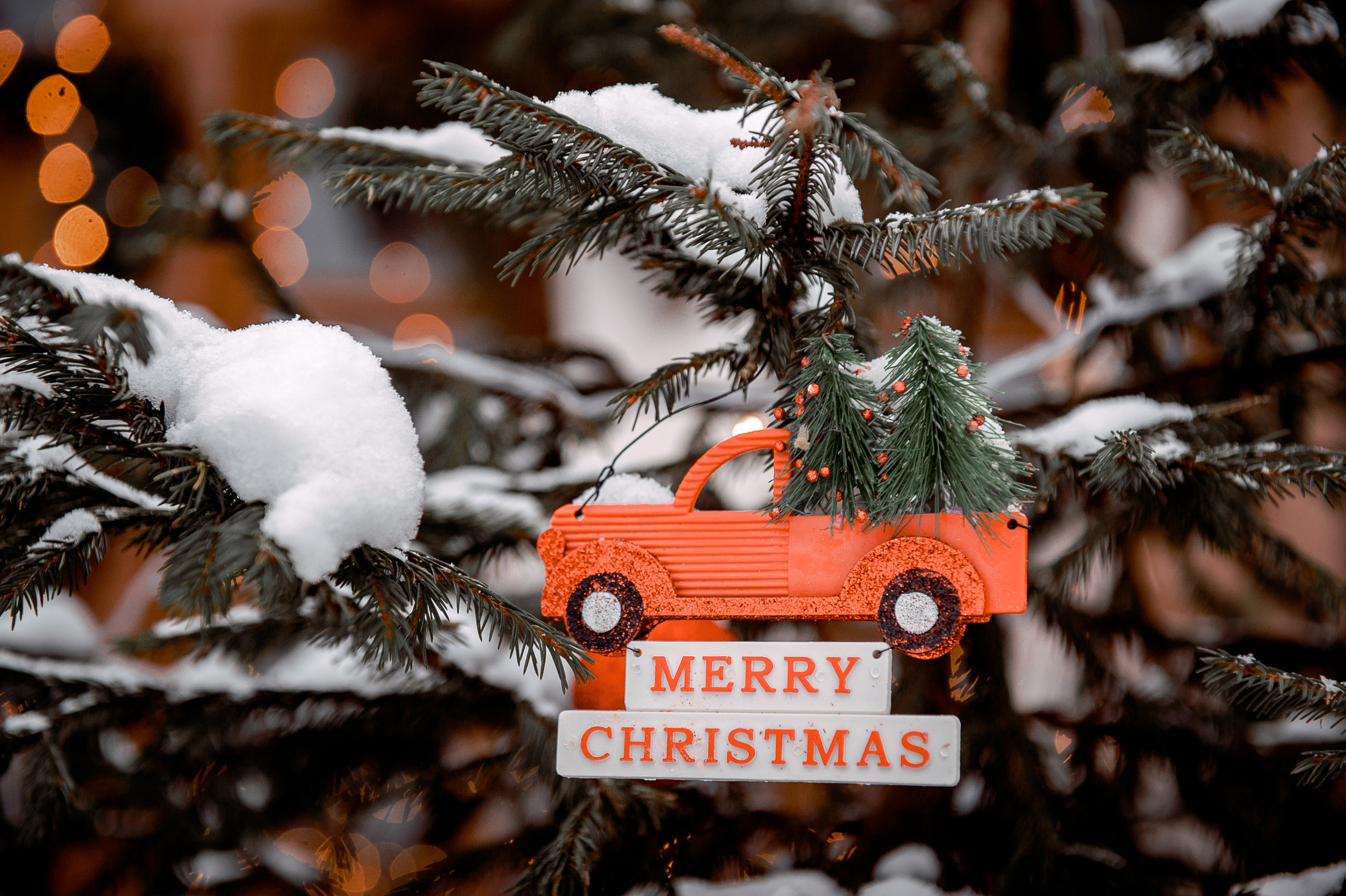 Ольга, Московская область, Ногинский район, Шале в лесу. Свадебный и семейный фотограф Виктория Носачёва. Щелково, Москва и МО