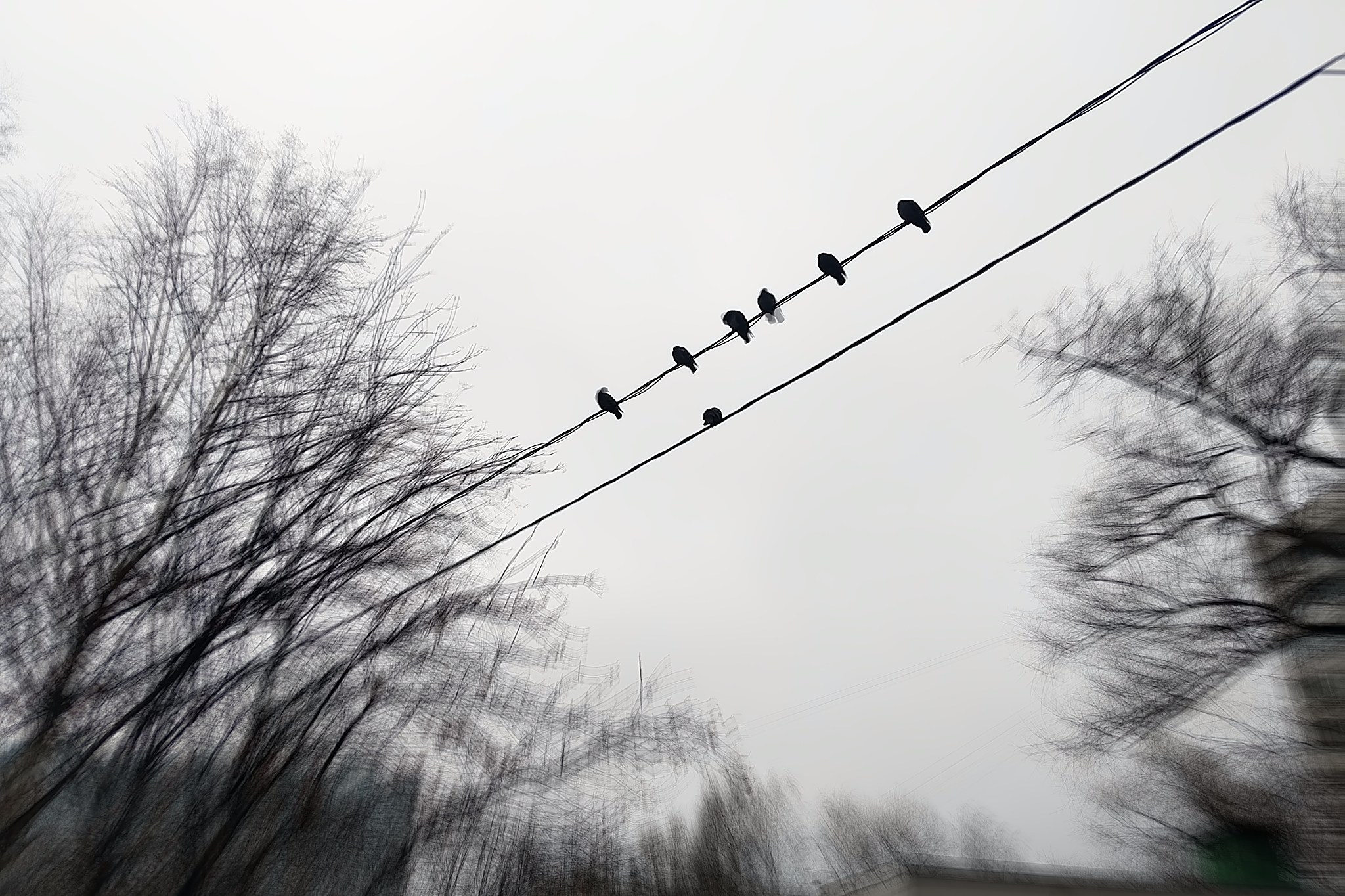 Мобильная фотография. Интерьерный и портретный фотограф в Москве Анна Моногарова