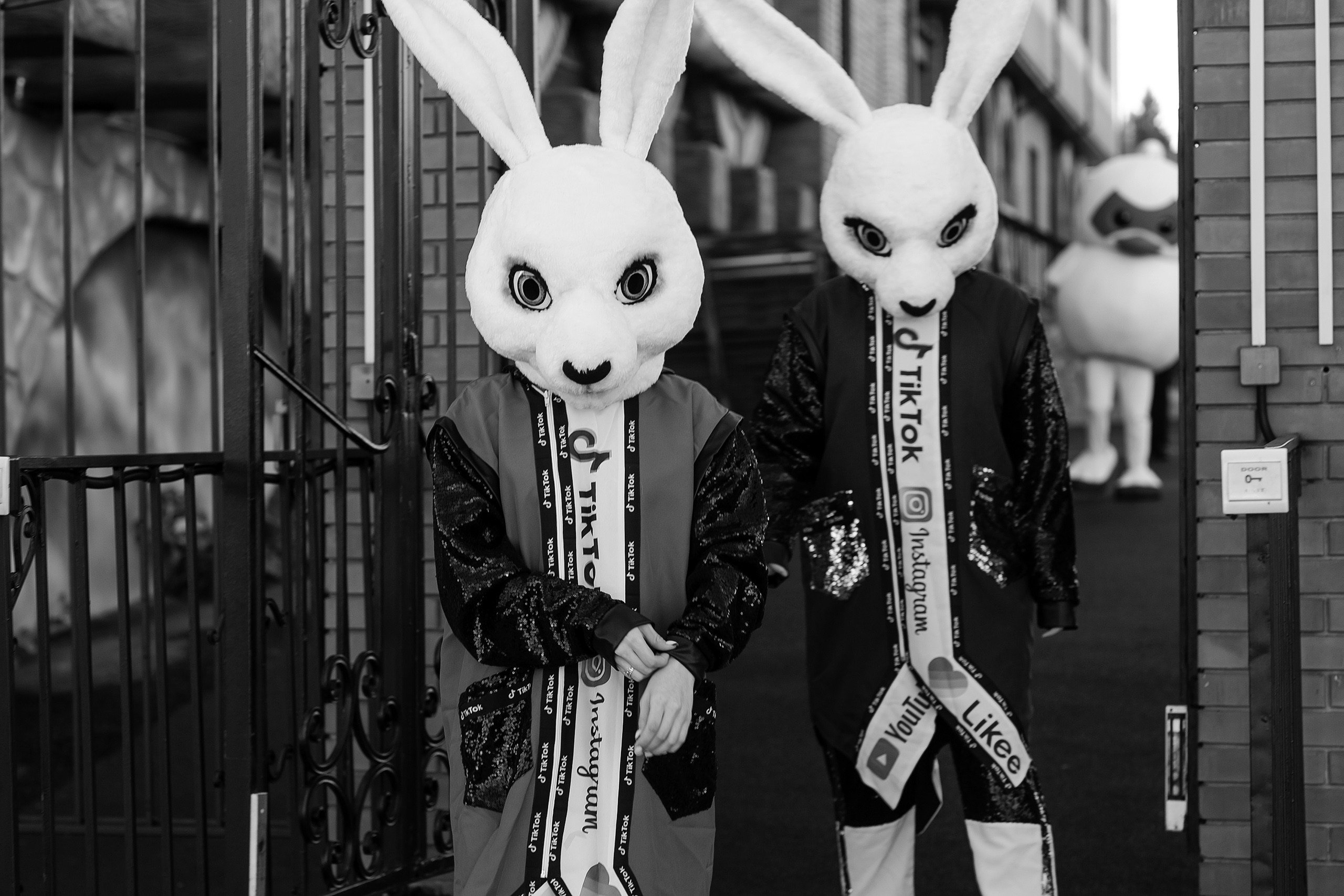 Топ Аниматор. Свадебный фотограф Сергей Сергеев — Нижний Новгород