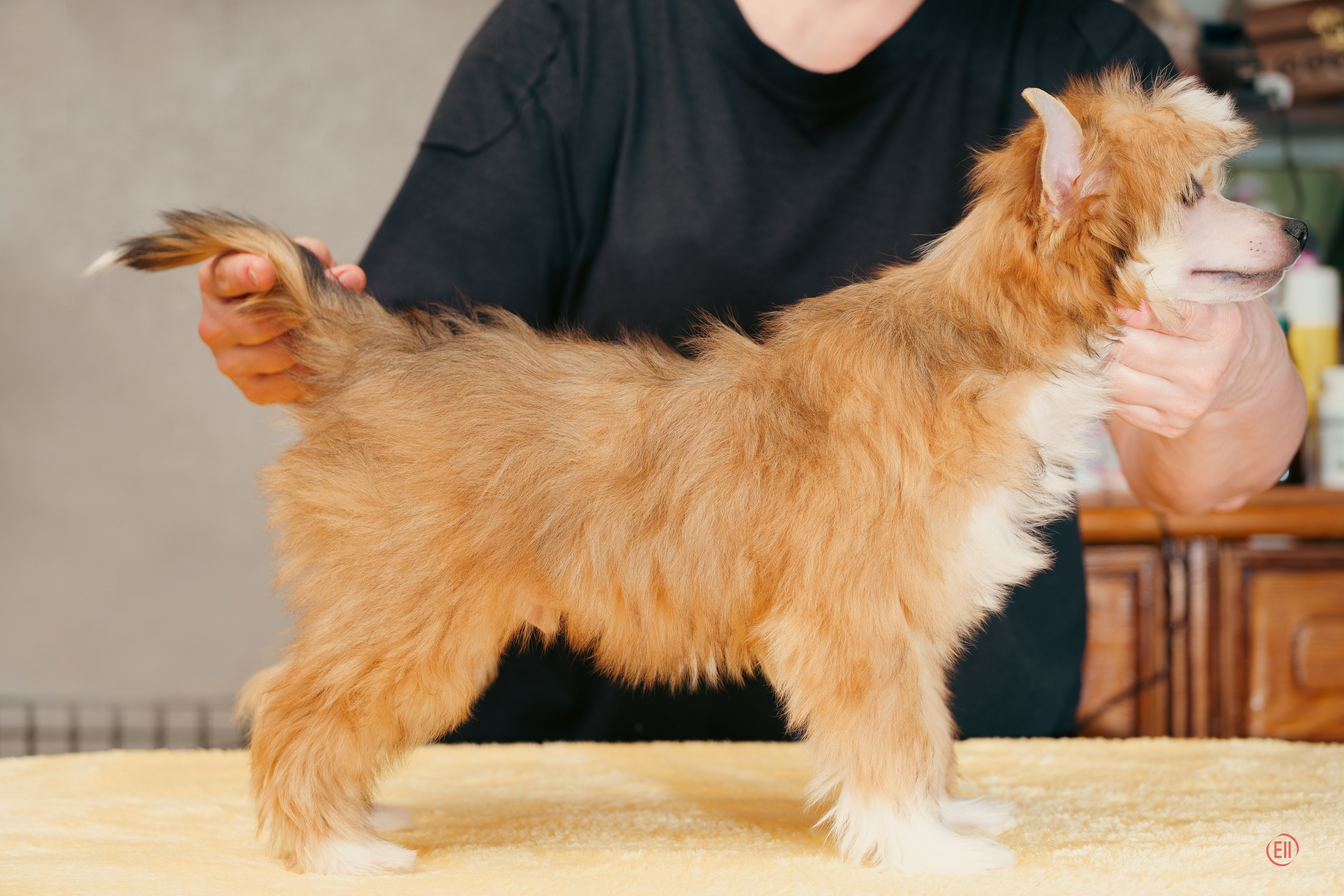 Помёт V. Фотосессия 2. 28.04.2024. Фотограф в Москве