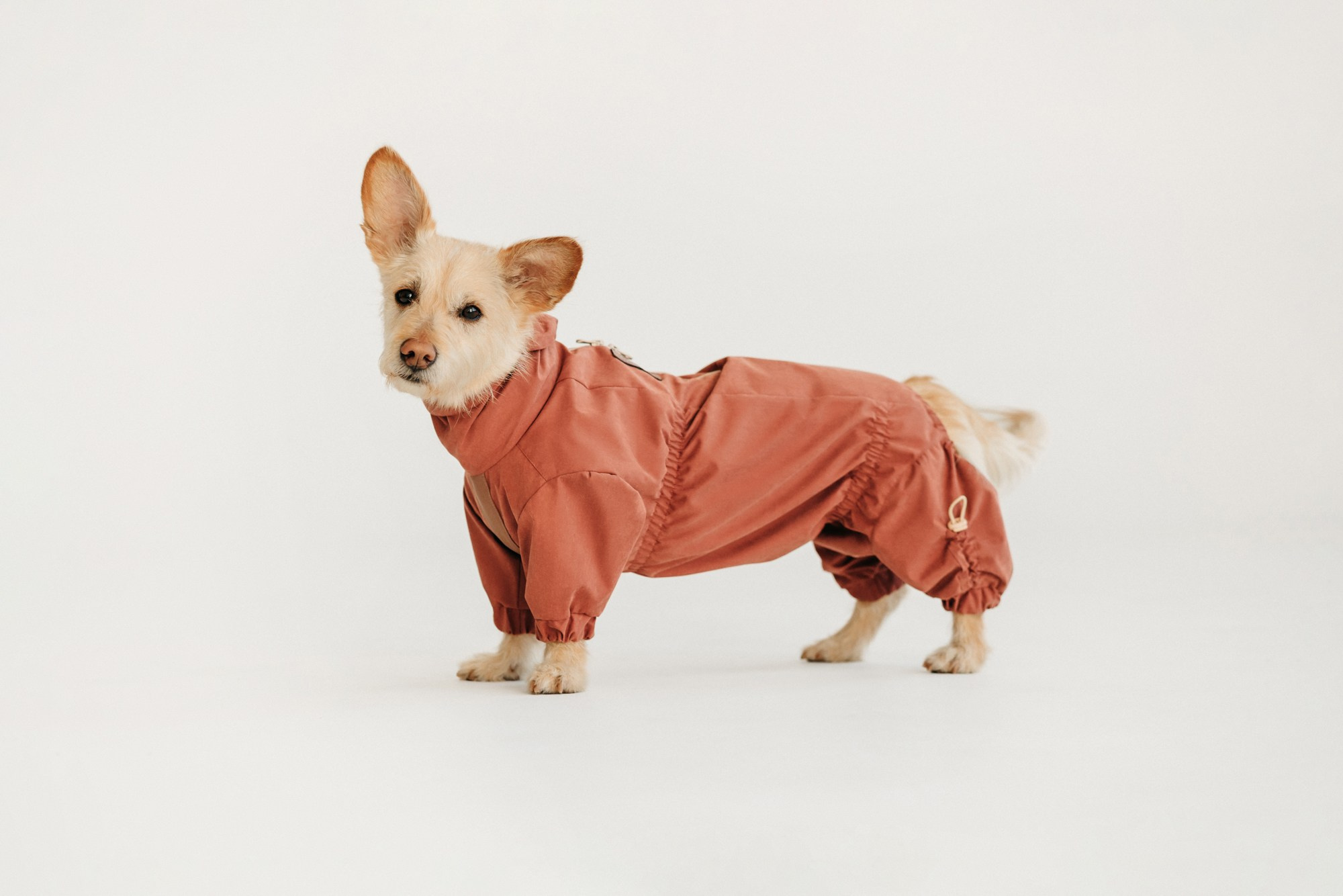 Одежда Lapa`s brand. Фотограф-анималист Елена Радченко, Москва