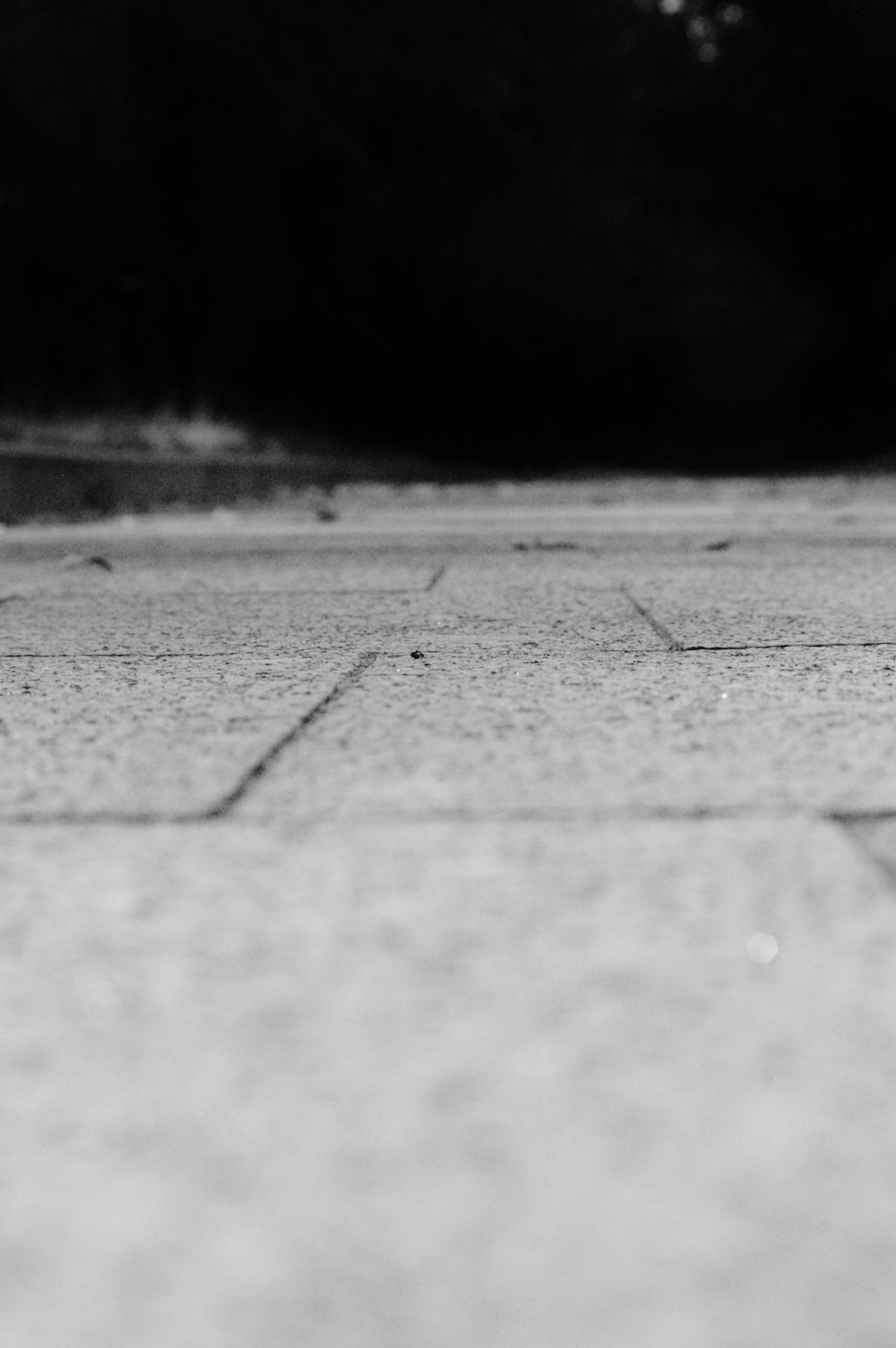 Moments. Juliarubis.com