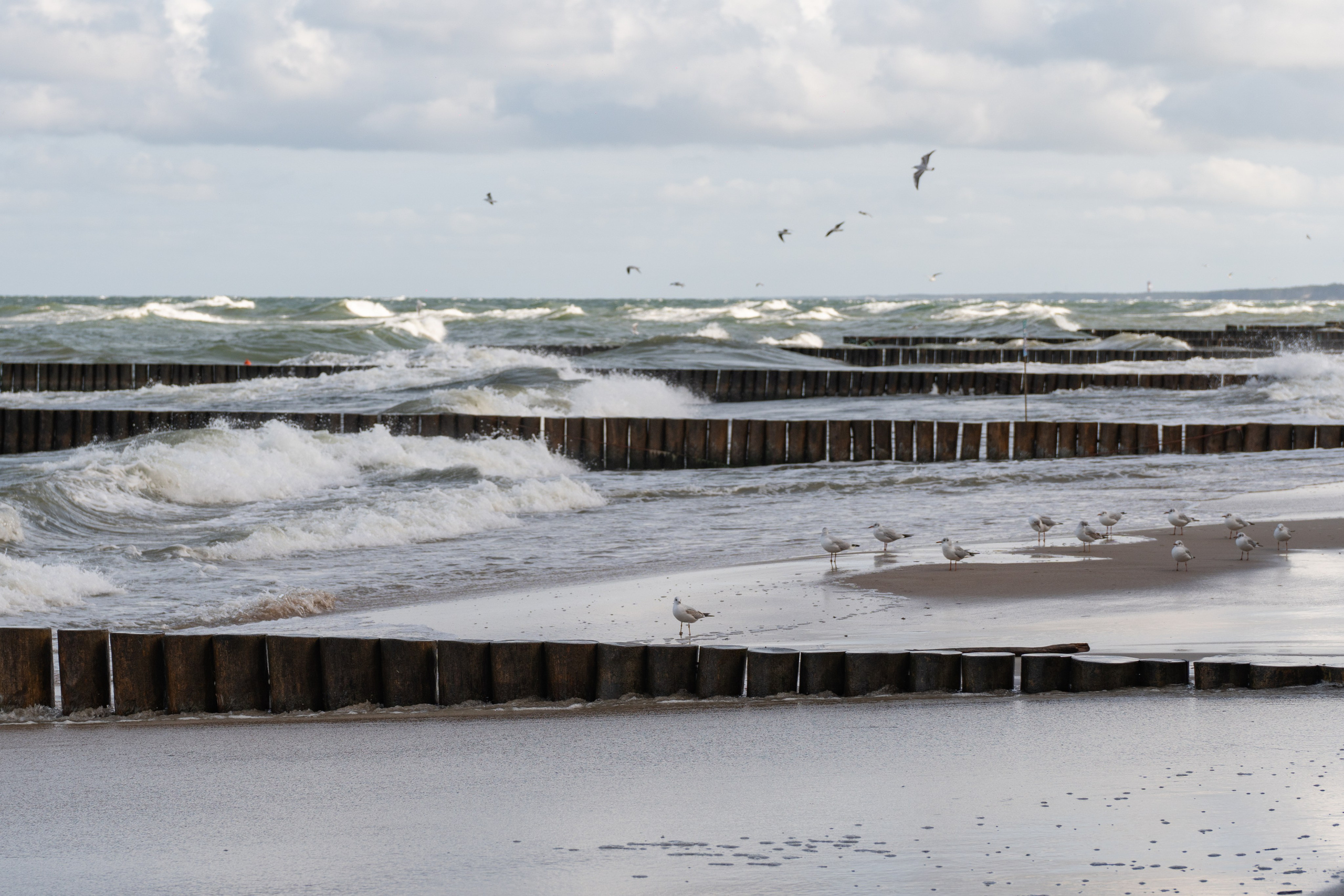 Калининградская область. Gusarov Travel Photography