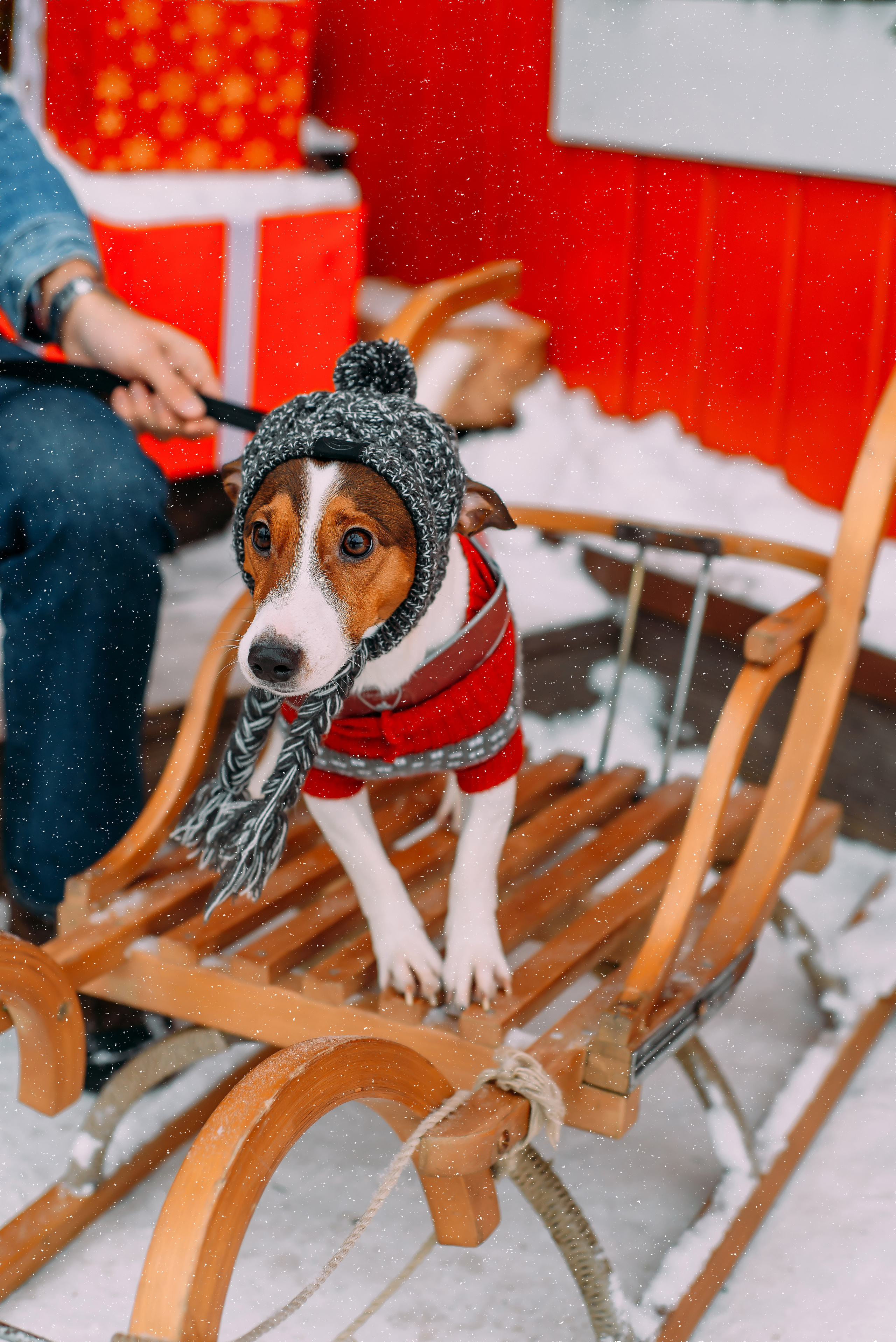 Елена с семьей. Детский и семейный фотограф Эльмира Веселова