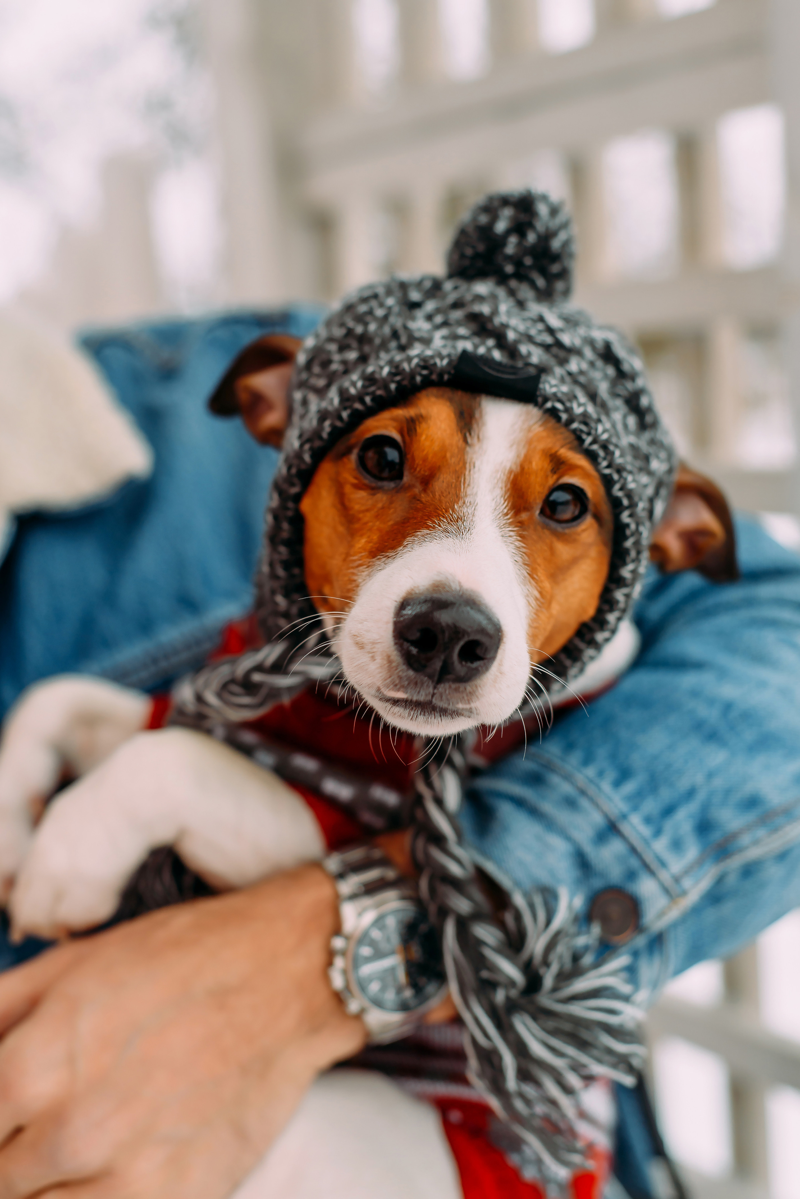 Елена с семьей. Детский и семейный фотограф Эльмира Веселова