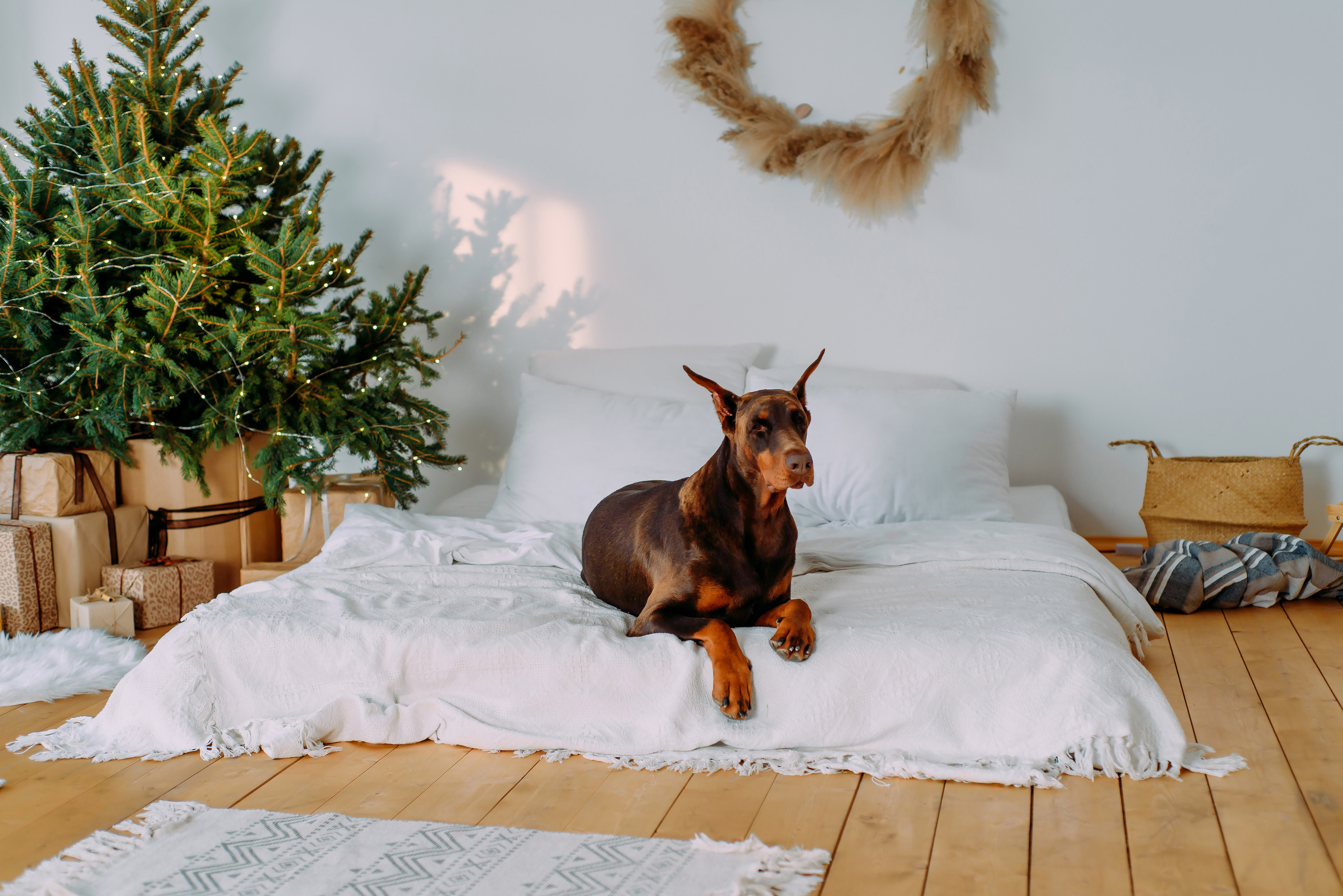 Елизавета с семьей. Детский и семейный фотограф Эльмира Веселова