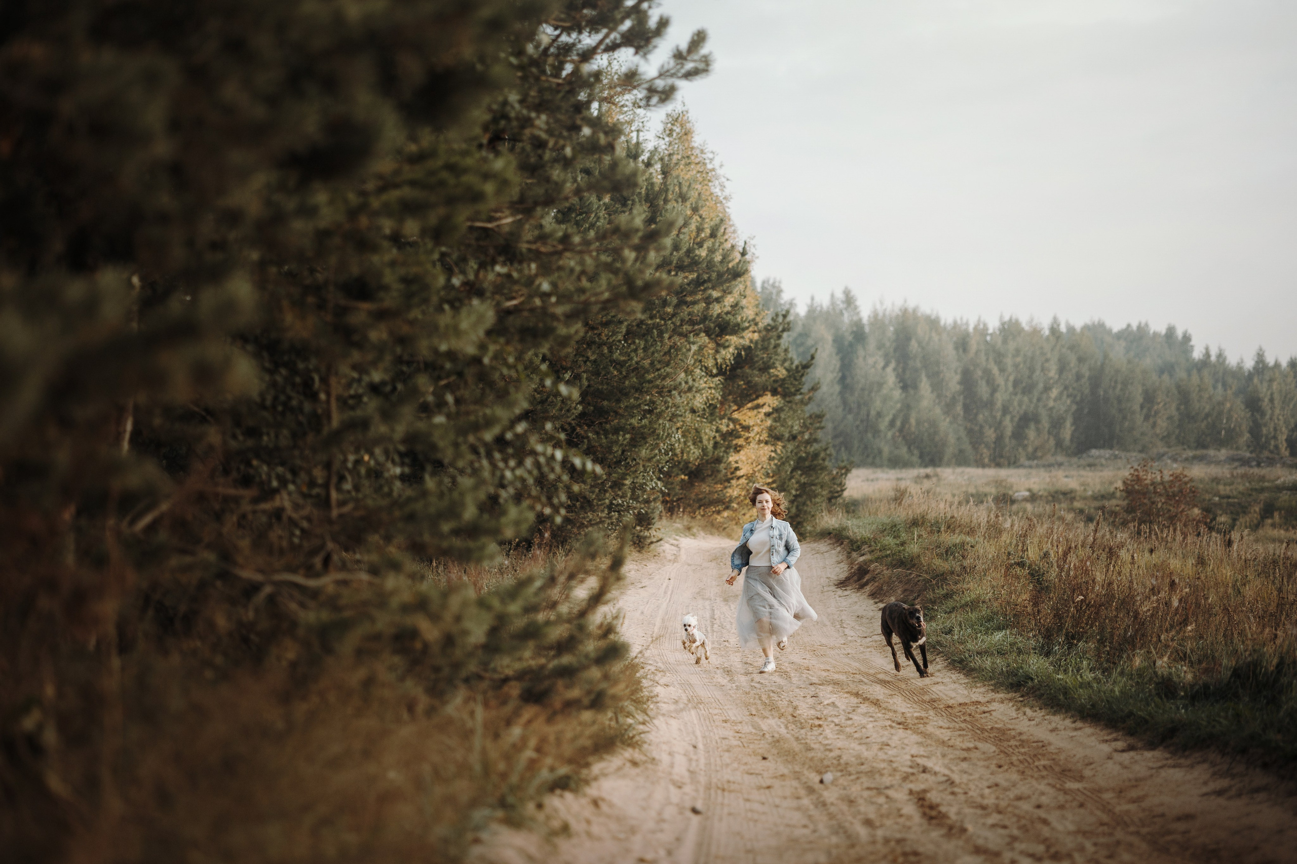 Любовь и ее хвостики. Фотограф — Анималист | Санкт-Петербург