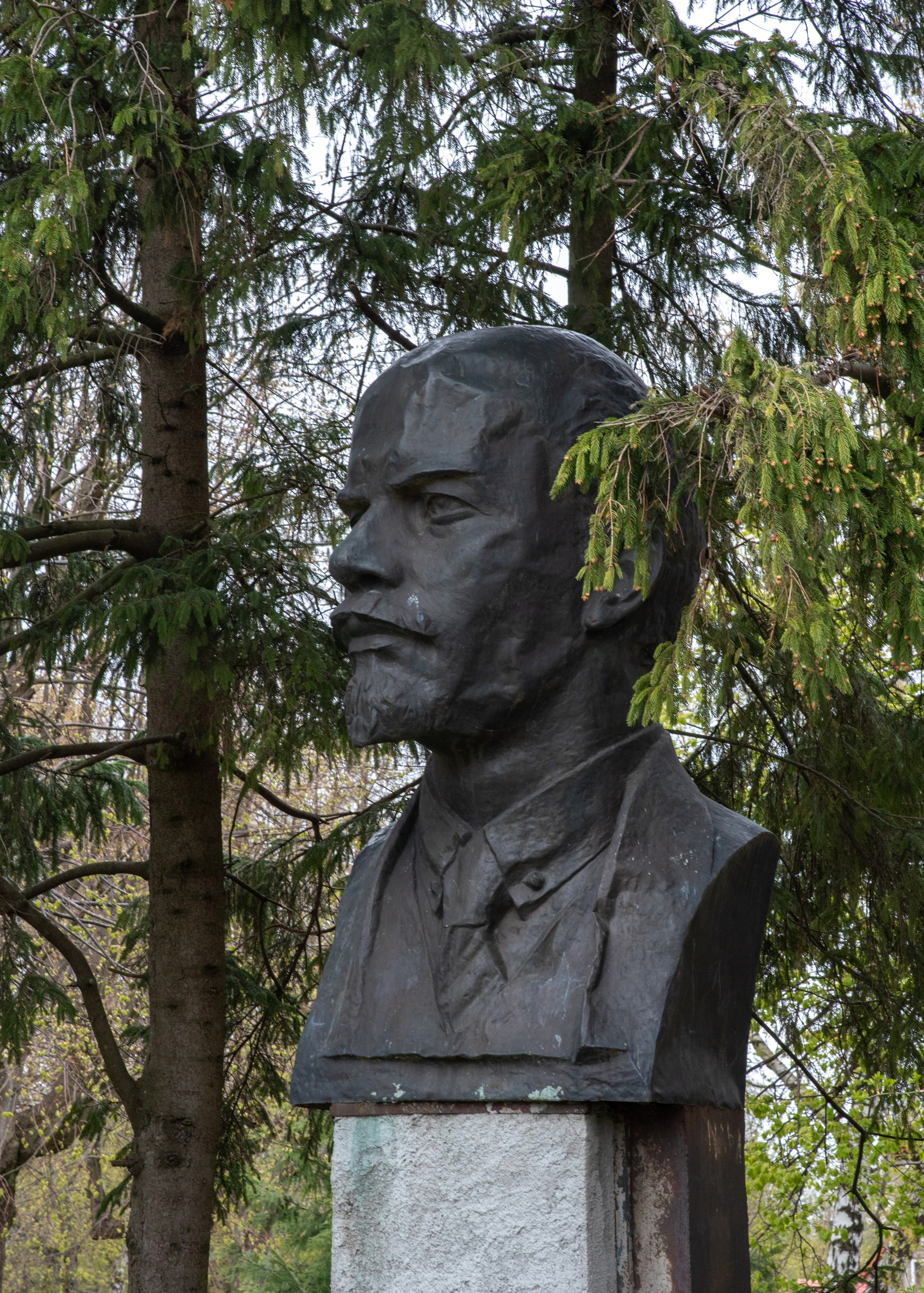 Калининград, Светлогорск. Фотограф Юлия Зимина