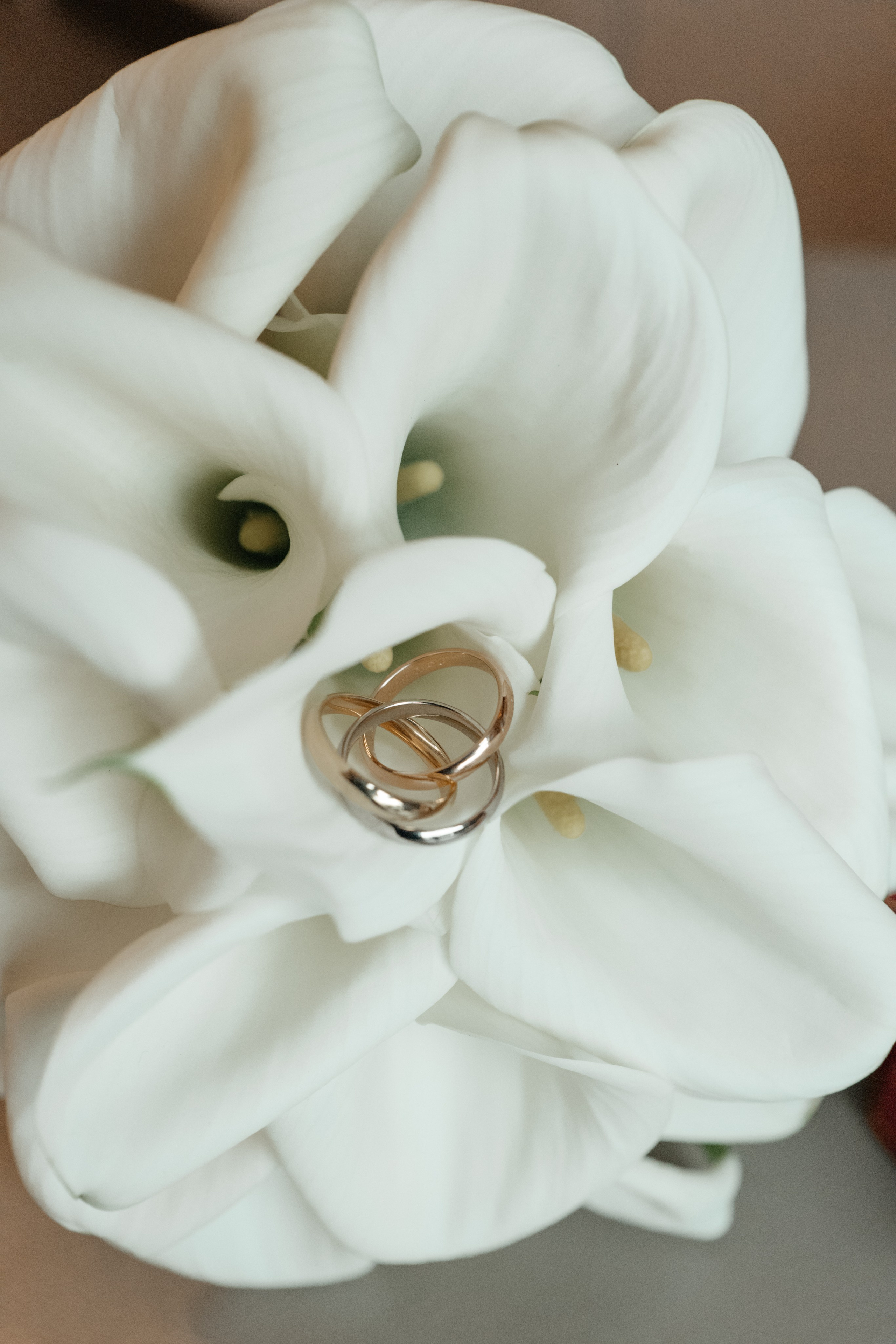 DENIS & ANASTASIA. Свадебное ФОТО & ВИДЕО Москва/Липецк