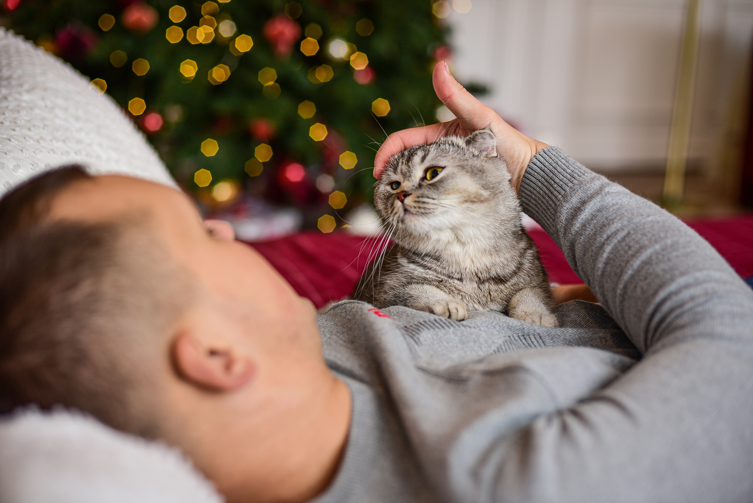 Животные. Семейный и свадебный фотограф в Донецке Донская Анастасия