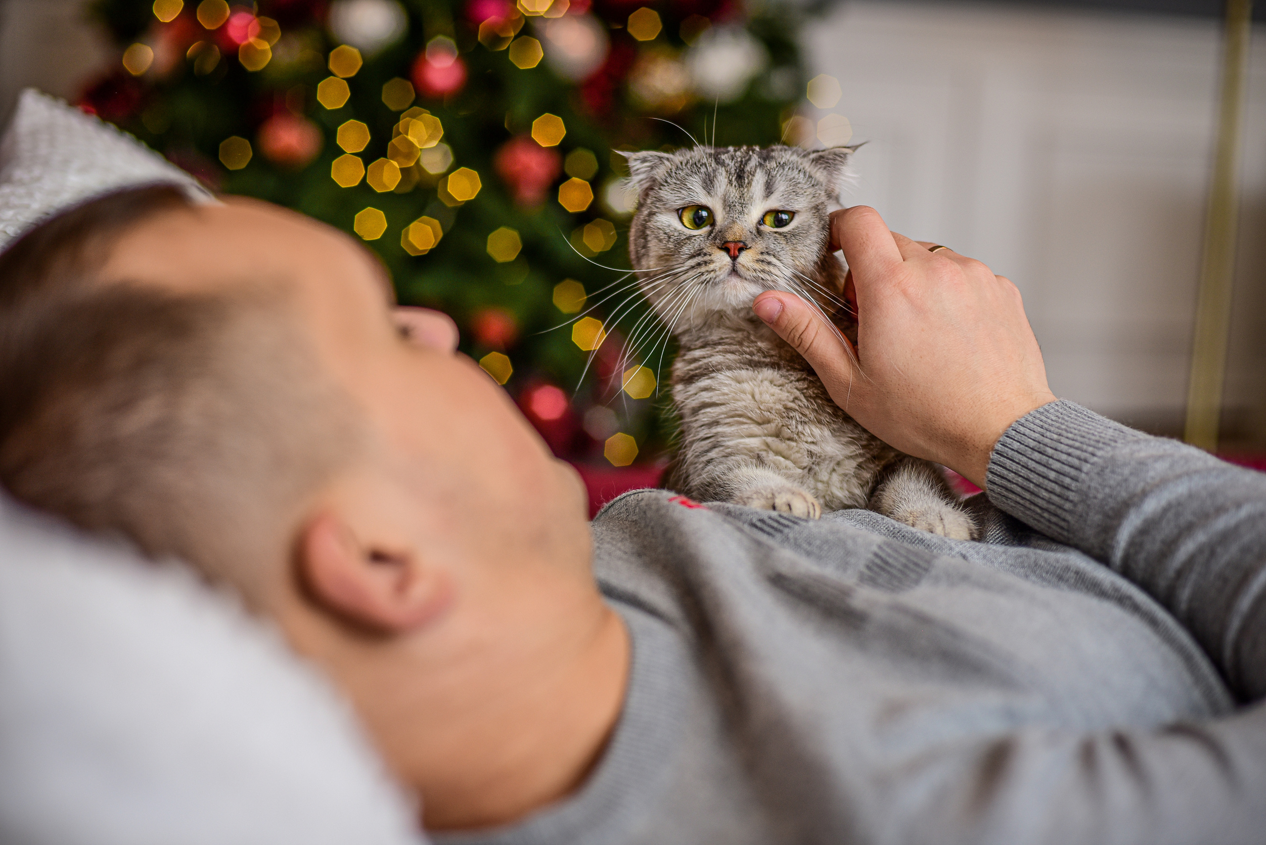 Животные. Семейный и свадебный фотограф в Донецке Донская Анастасия