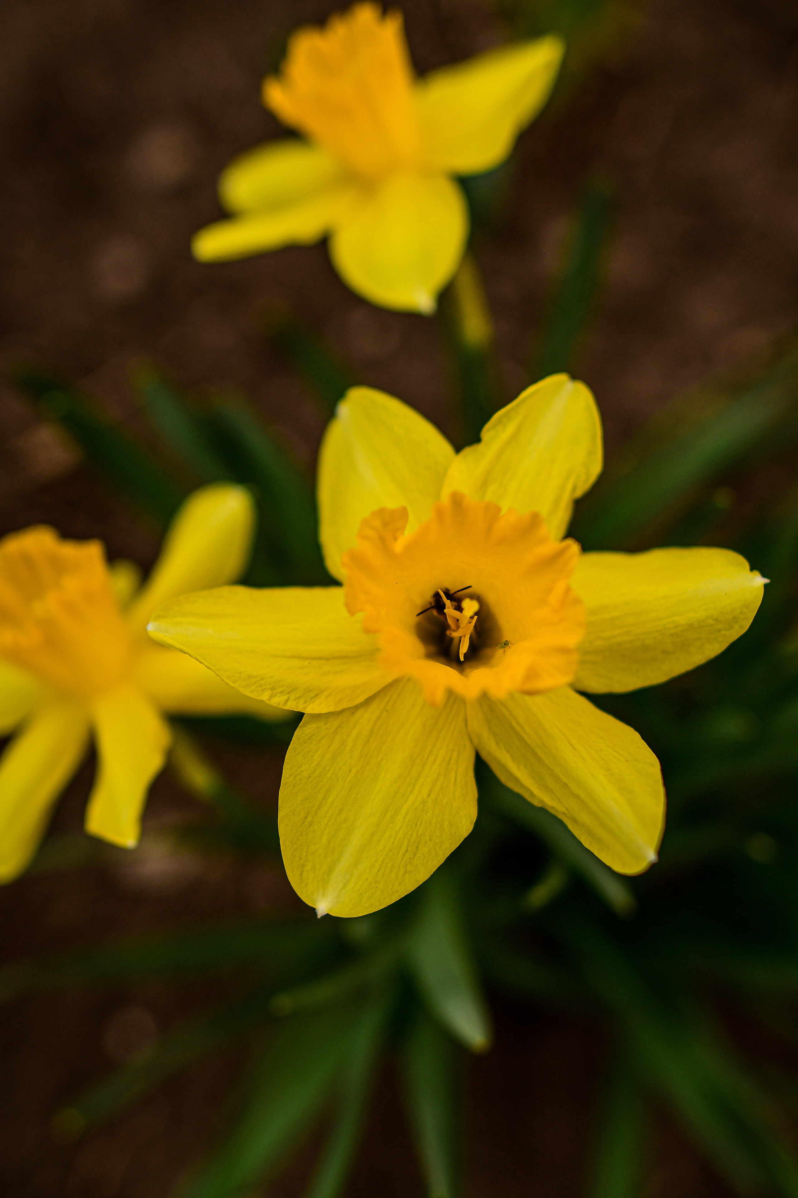 Природа. Семейный и свадебный фотограф в Донецке Донская Анастасия