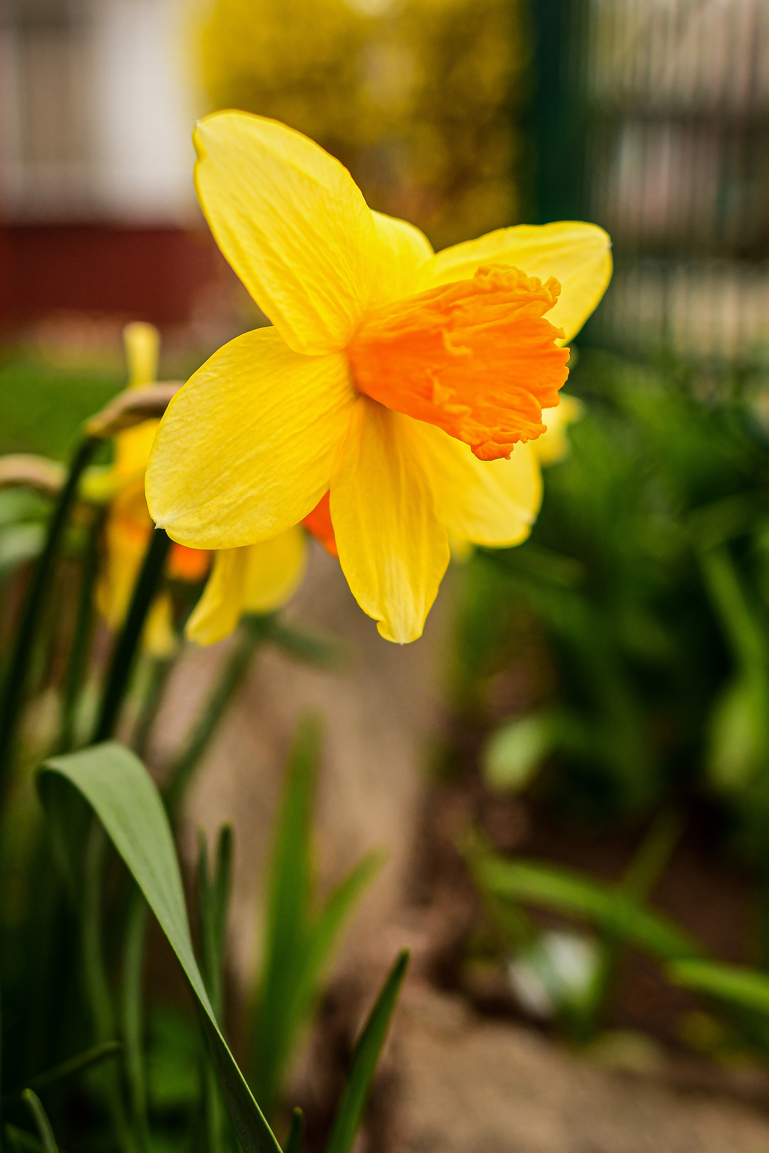 Природа. Семейный и свадебный фотограф в Донецке Донская Анастасия