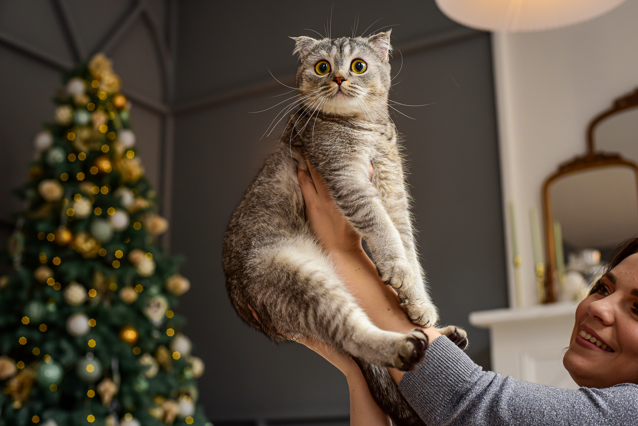 Животные. Семейный и свадебный фотограф в Донецке Донская Анастасия