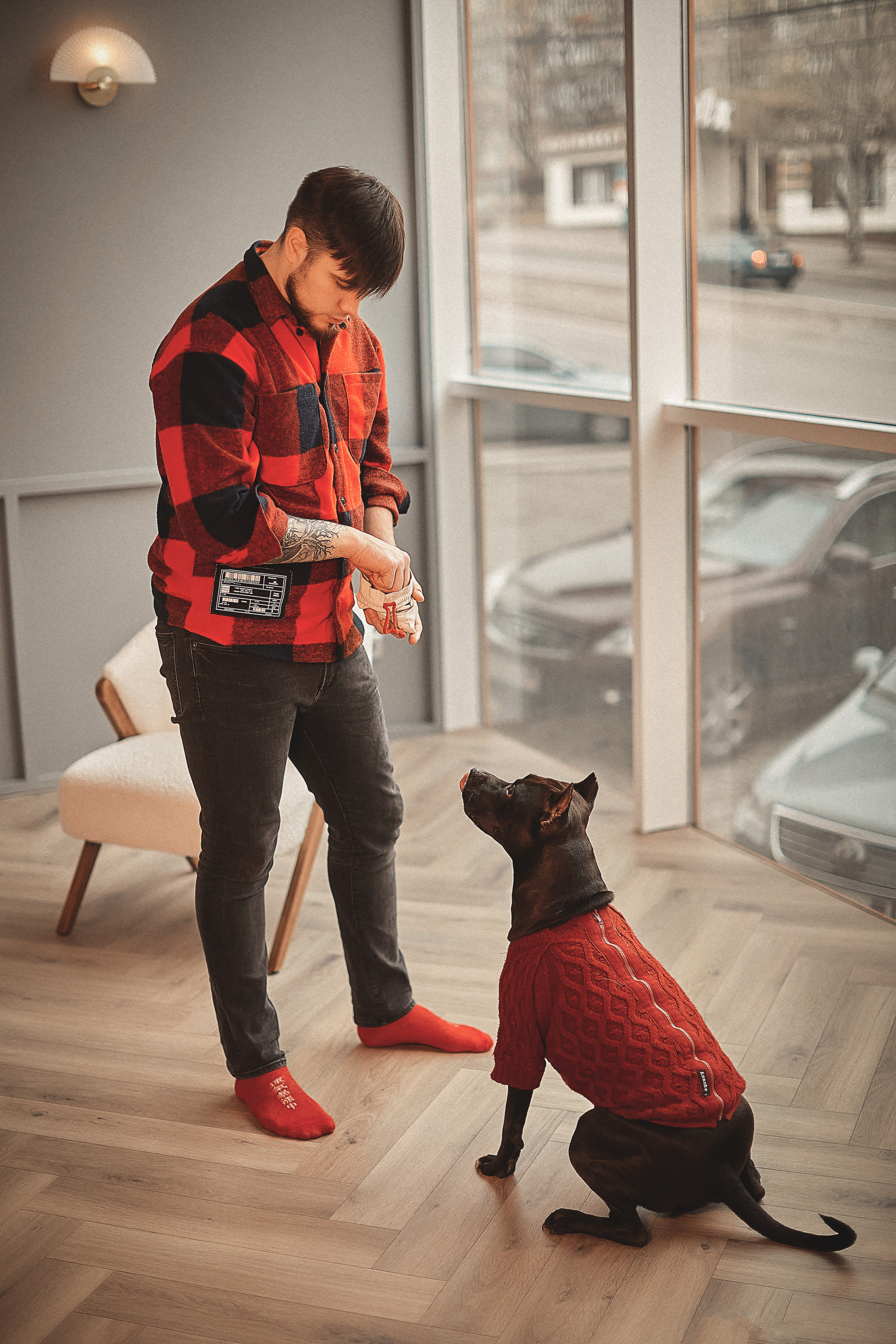 Животные. Семейный и свадебный фотограф в Донецке Донская Анастасия