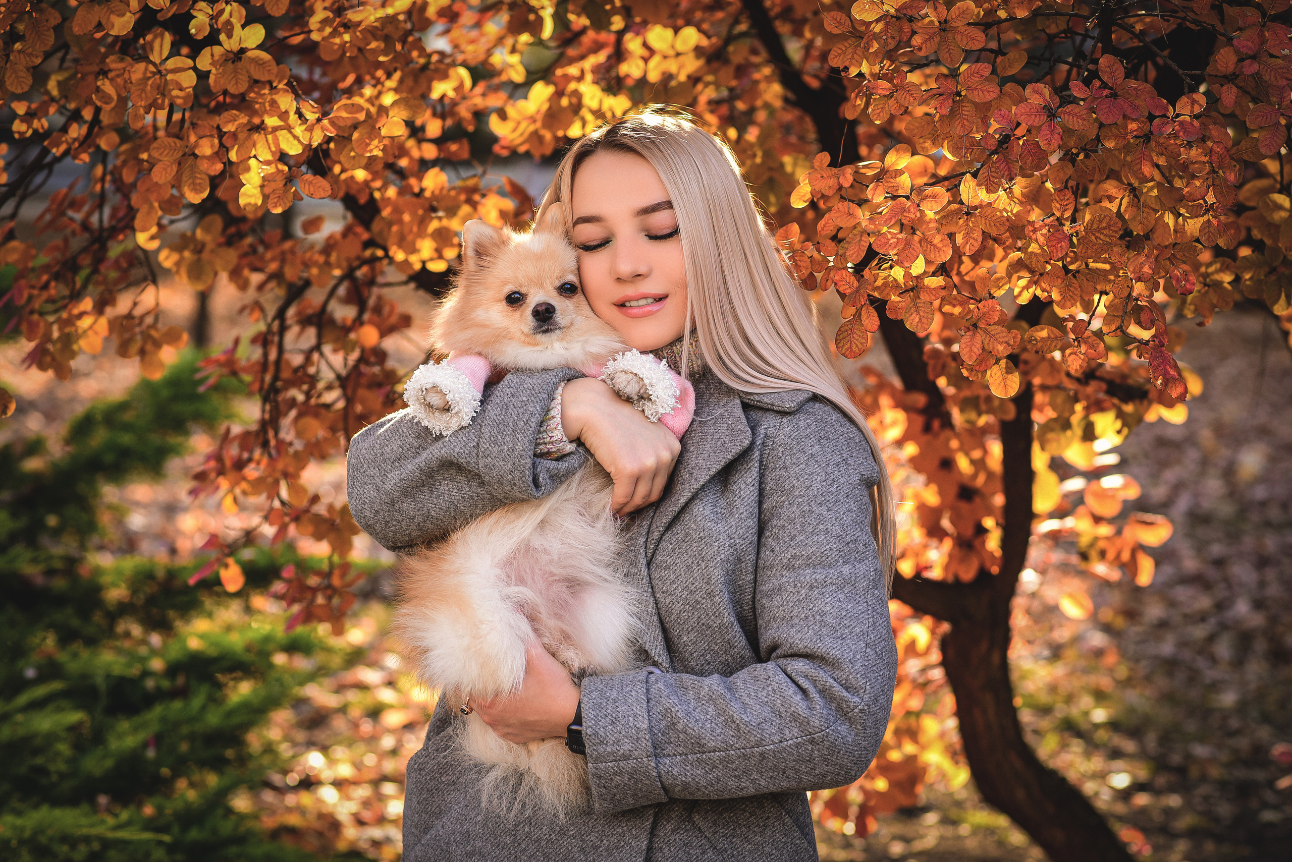 Осень. Семейный и свадебный фотограф в Донецке Донская Анастасия