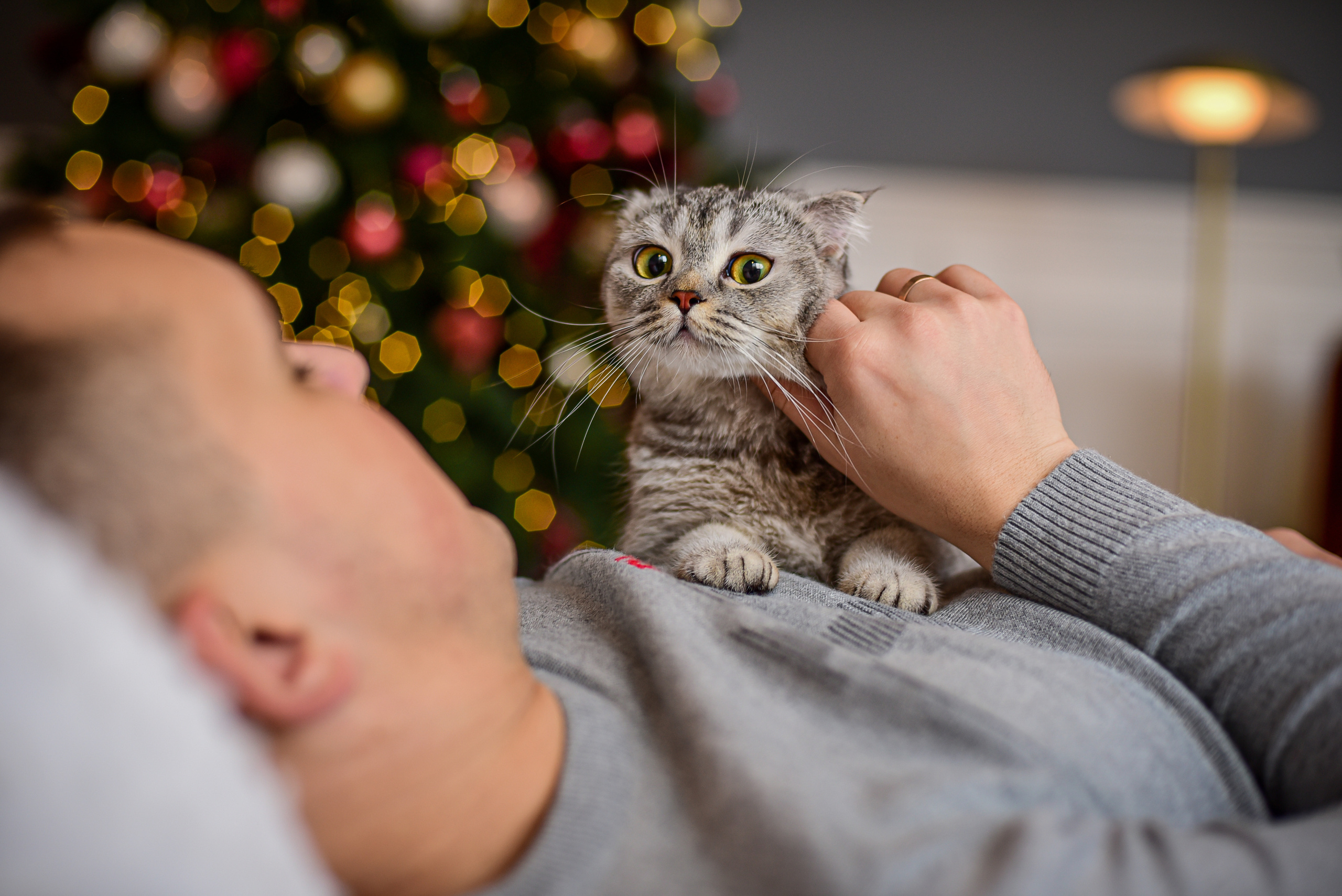 Фотосессия с животными. Семейный и свадебный фотограф в Донецке Донская Анастасия