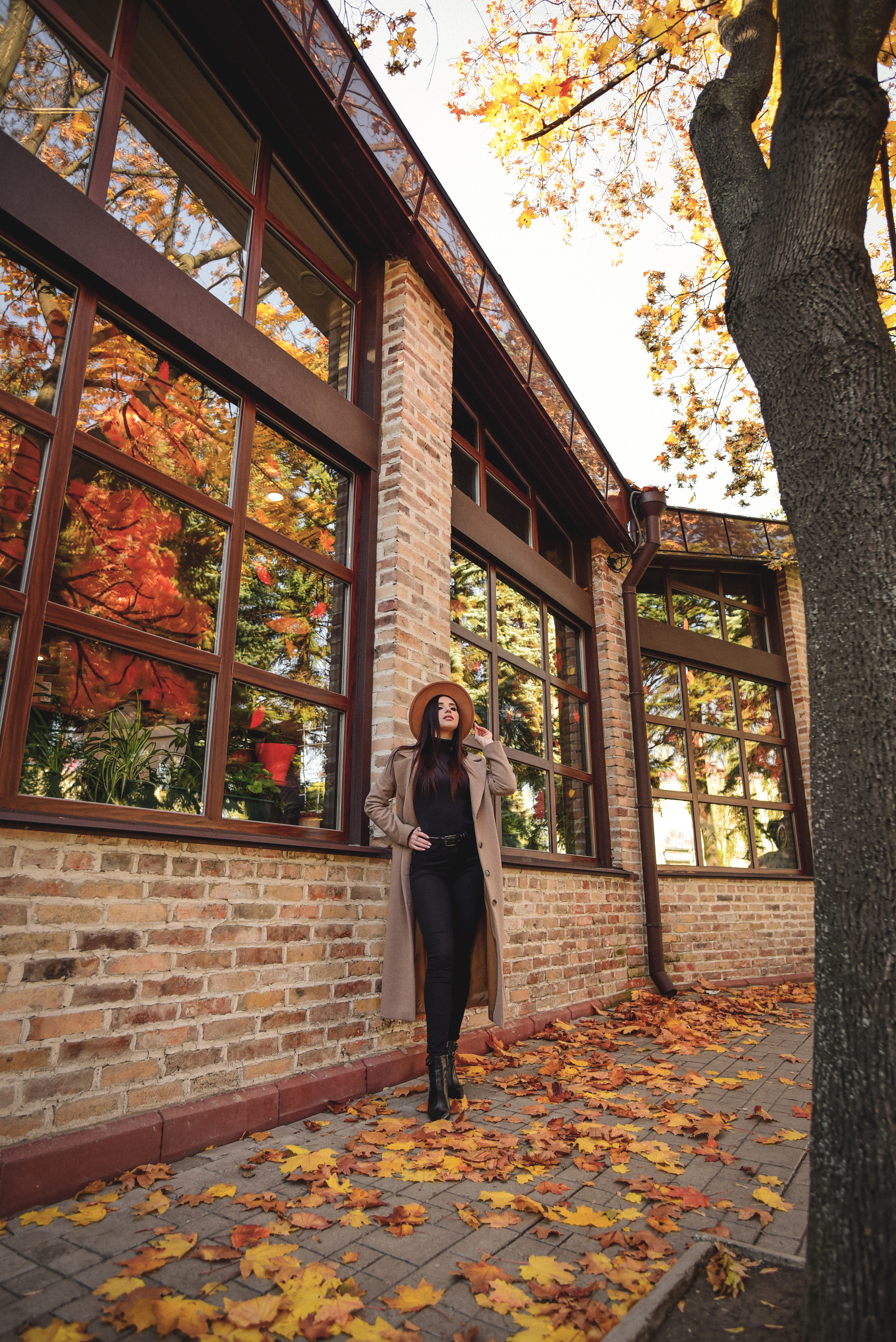 Осень. Семейный и свадебный фотограф в Донецке Донская Анастасия