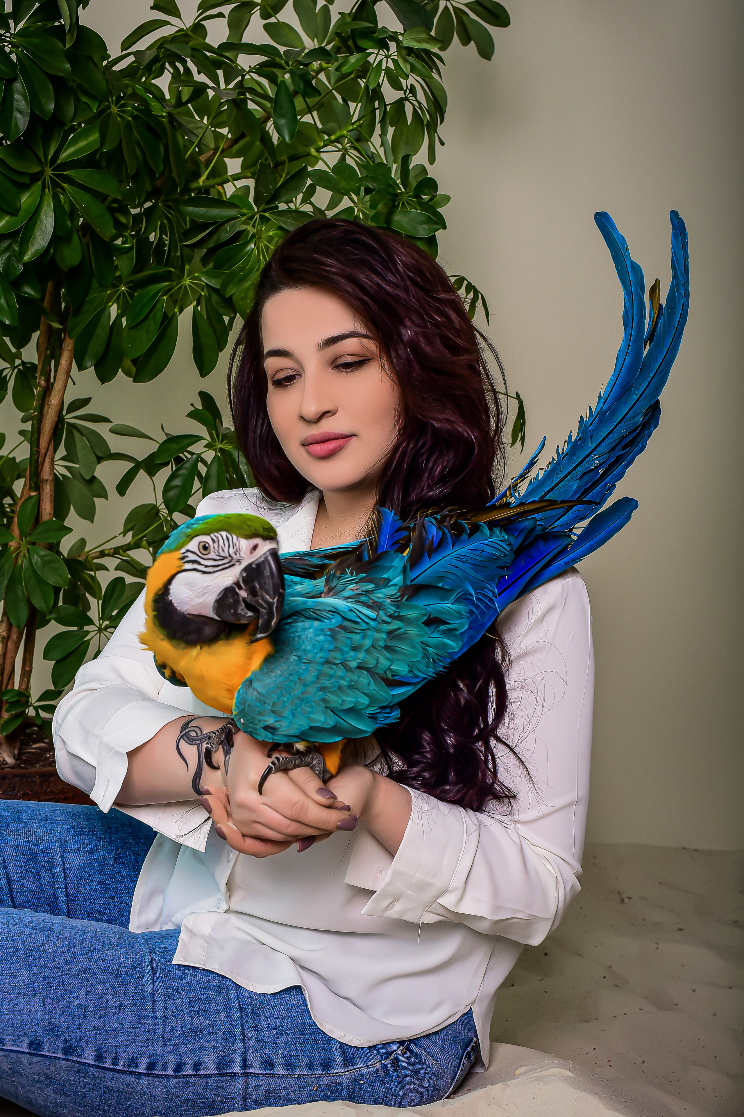 Фоновая студия. Семейный и свадебный фотограф в Донецке Донская Анастасия