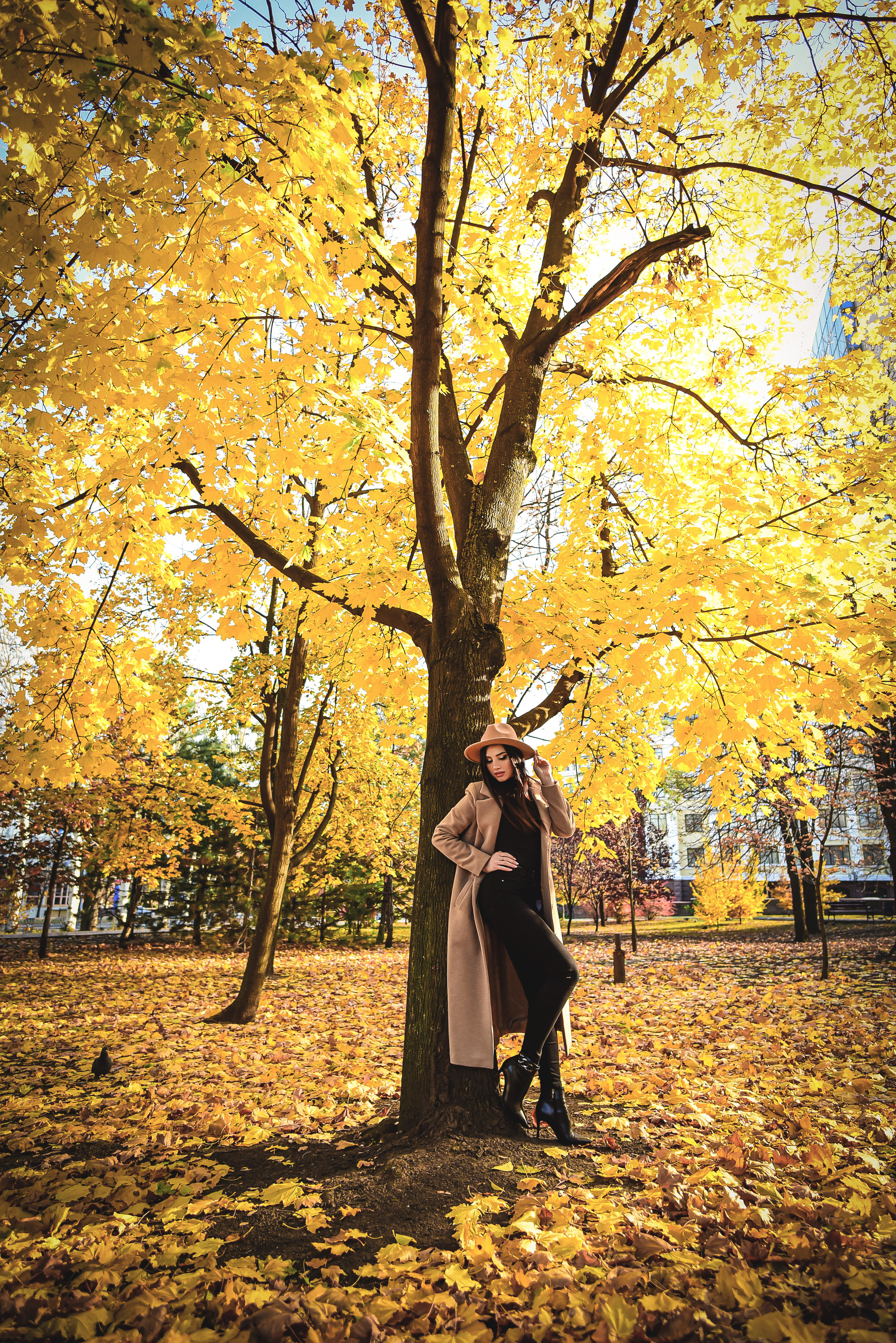 Осень. Семейный и свадебный фотограф в Донецке Донская Анастасия